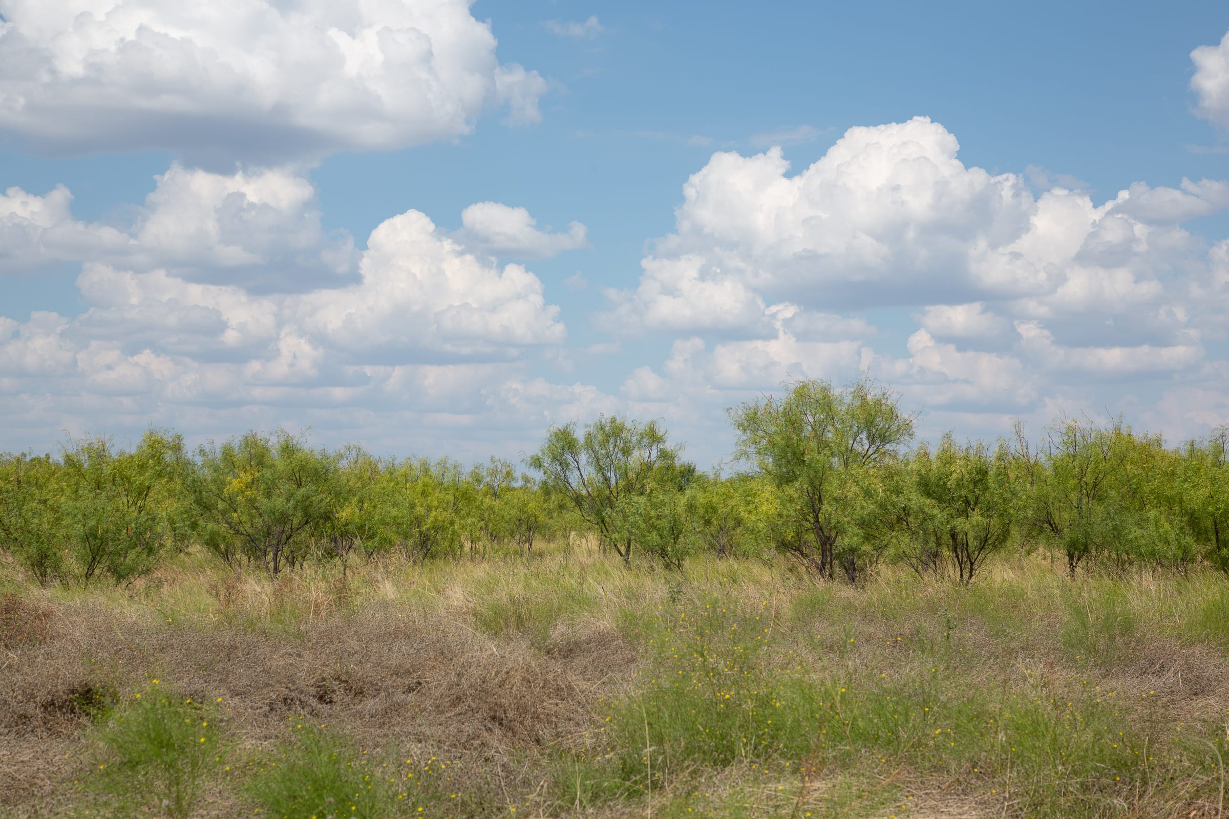 Hunter’s Ranch Tract 21 photo 4