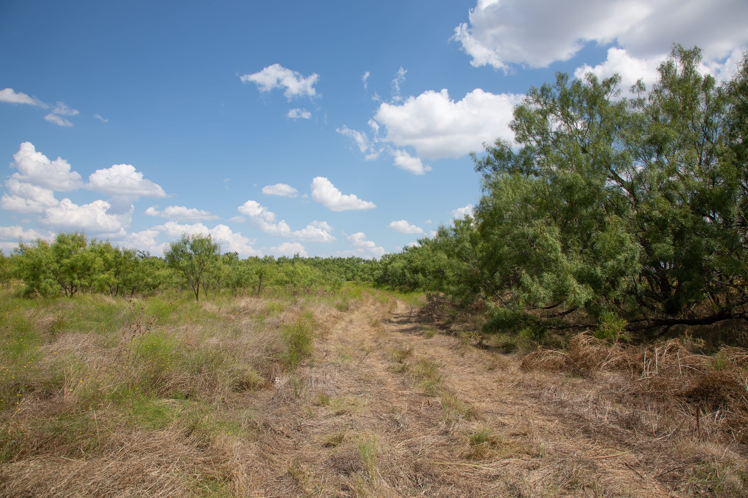 Hunter’s Ranch Tract 21 photo 5