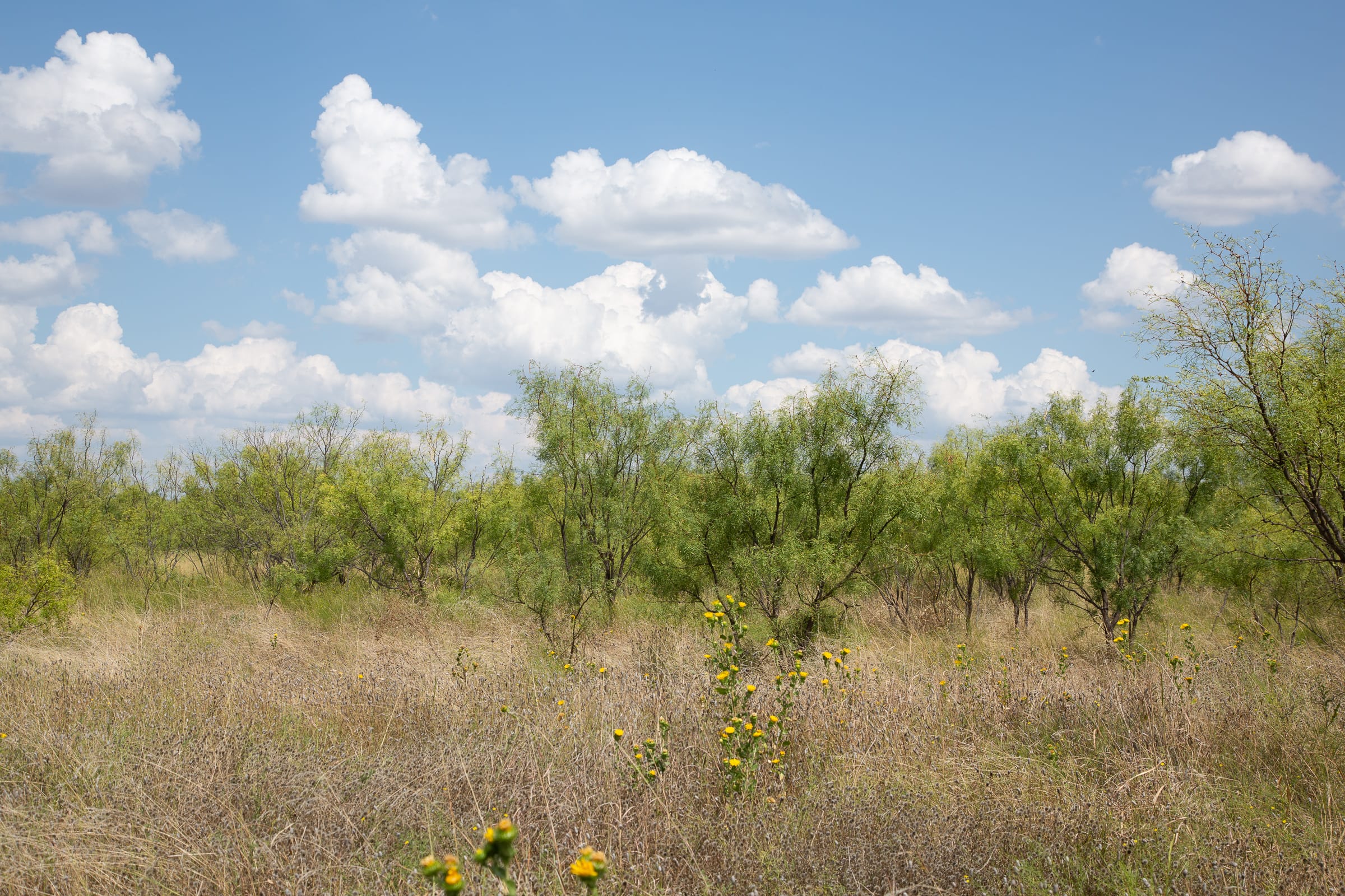 Hunter’s Ranch Tract 21 photo 6