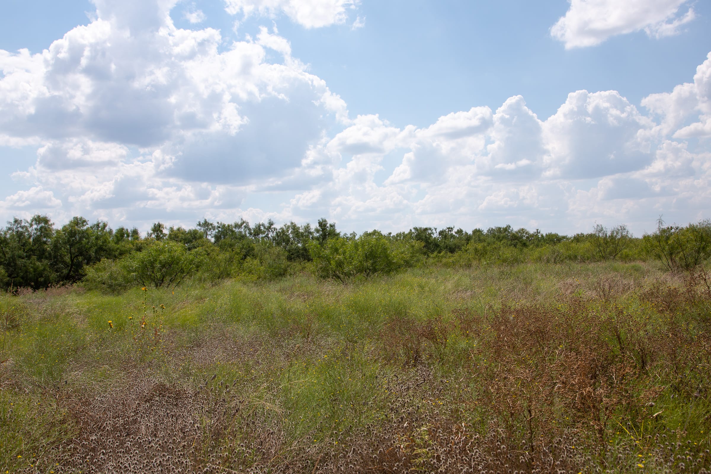 Hunter’s Ranch Tract 21 photo 7