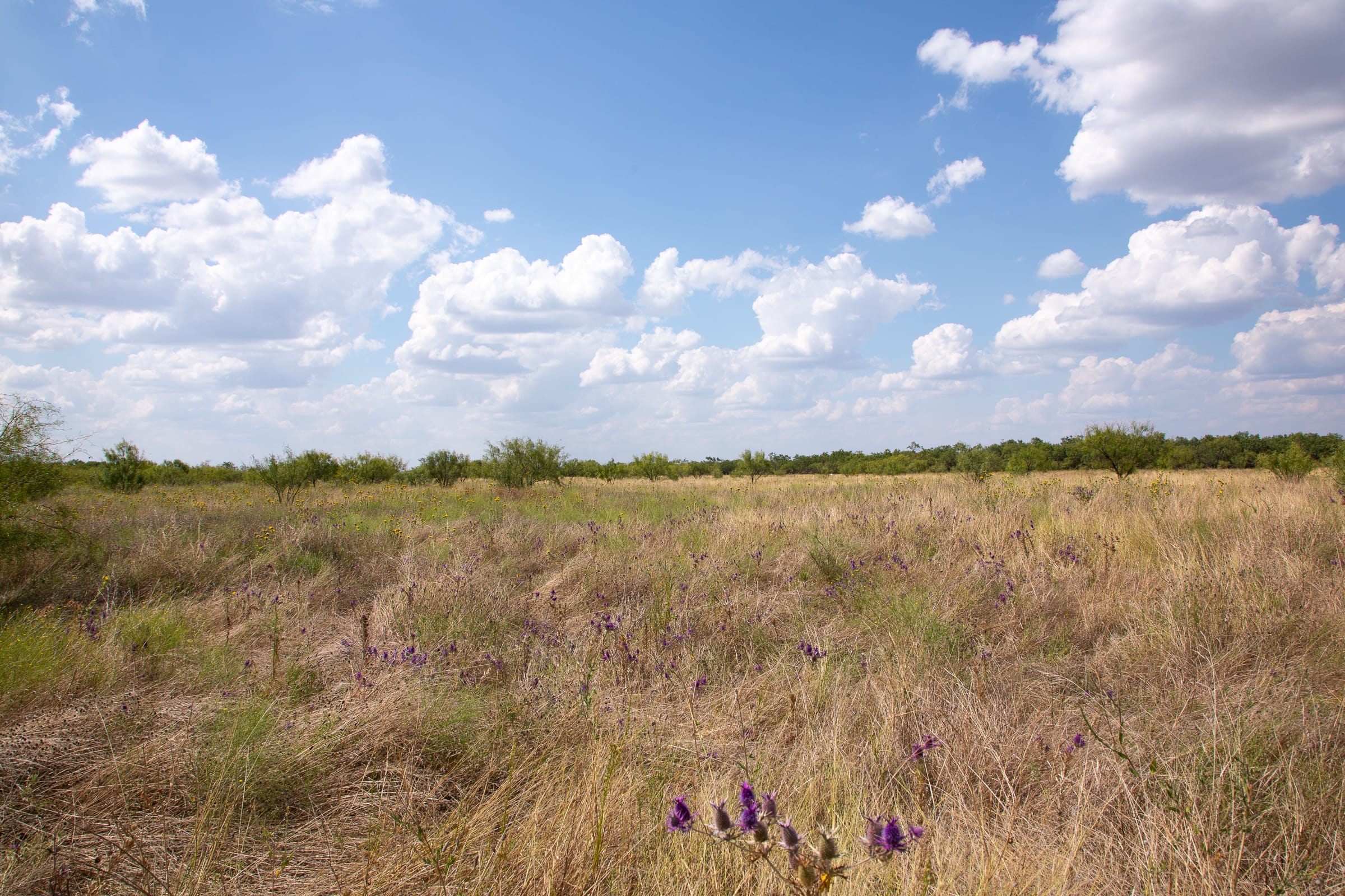Hunter’s Ranch Tract 21 photo 12