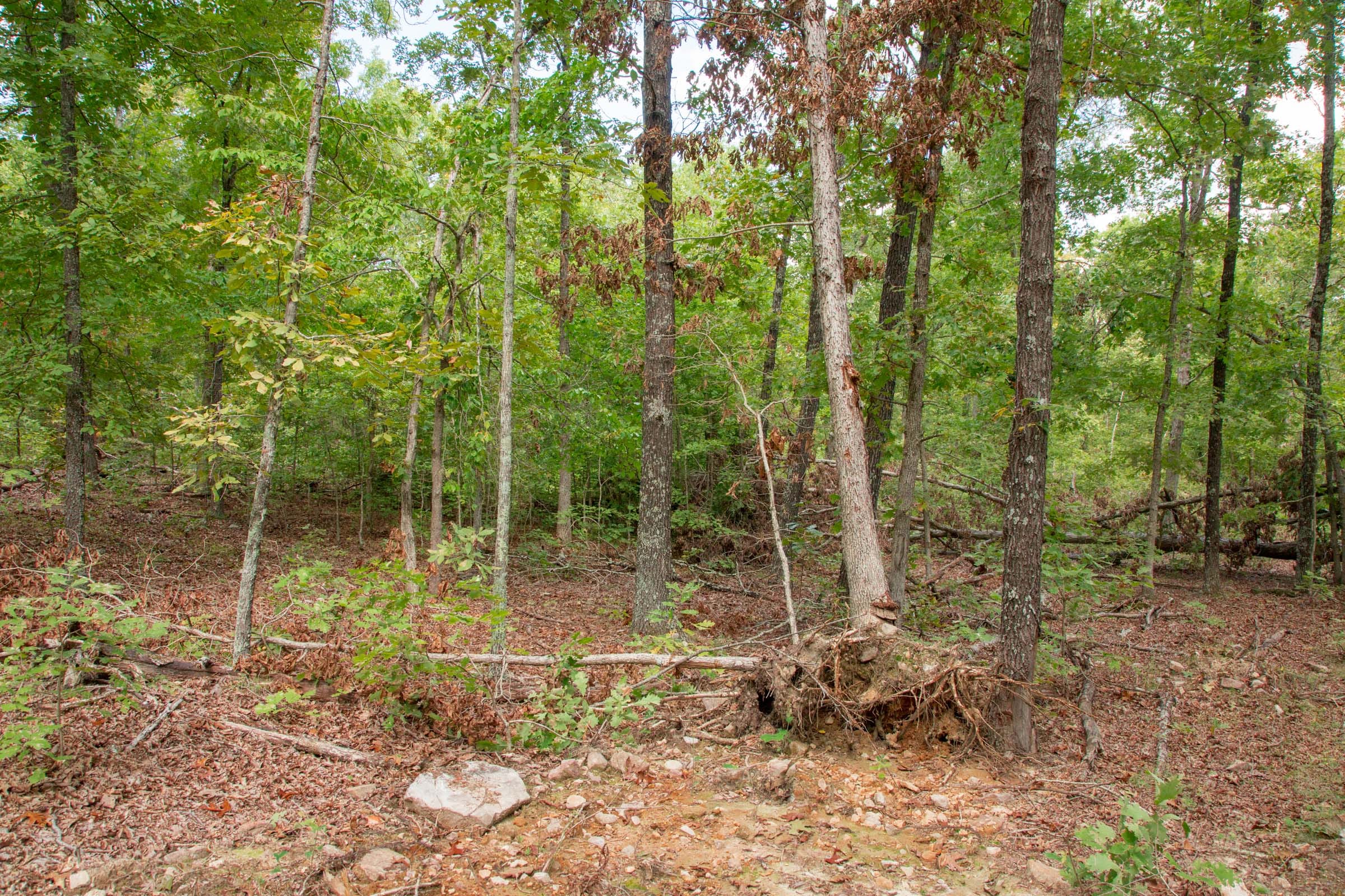 Wagon Wheel Ranch Tract 30 photo 3