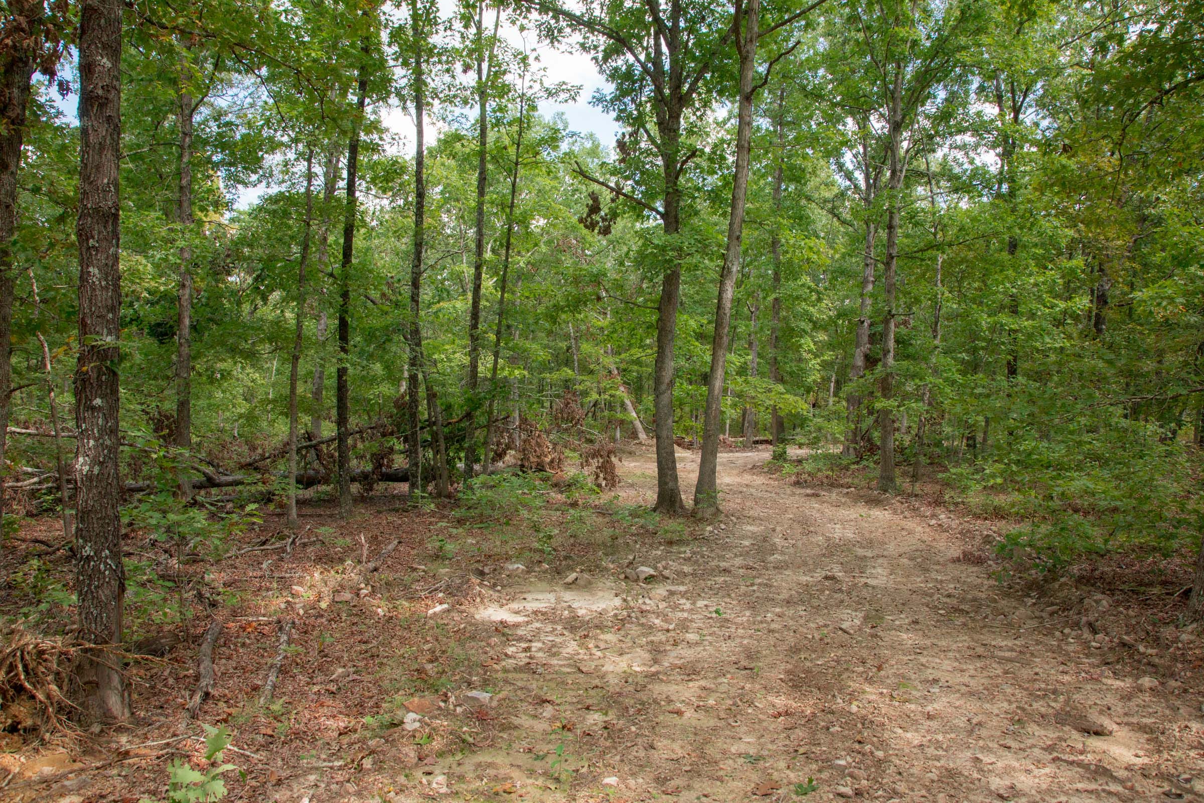 Wagon Wheel Ranch Tract 30 photo 4