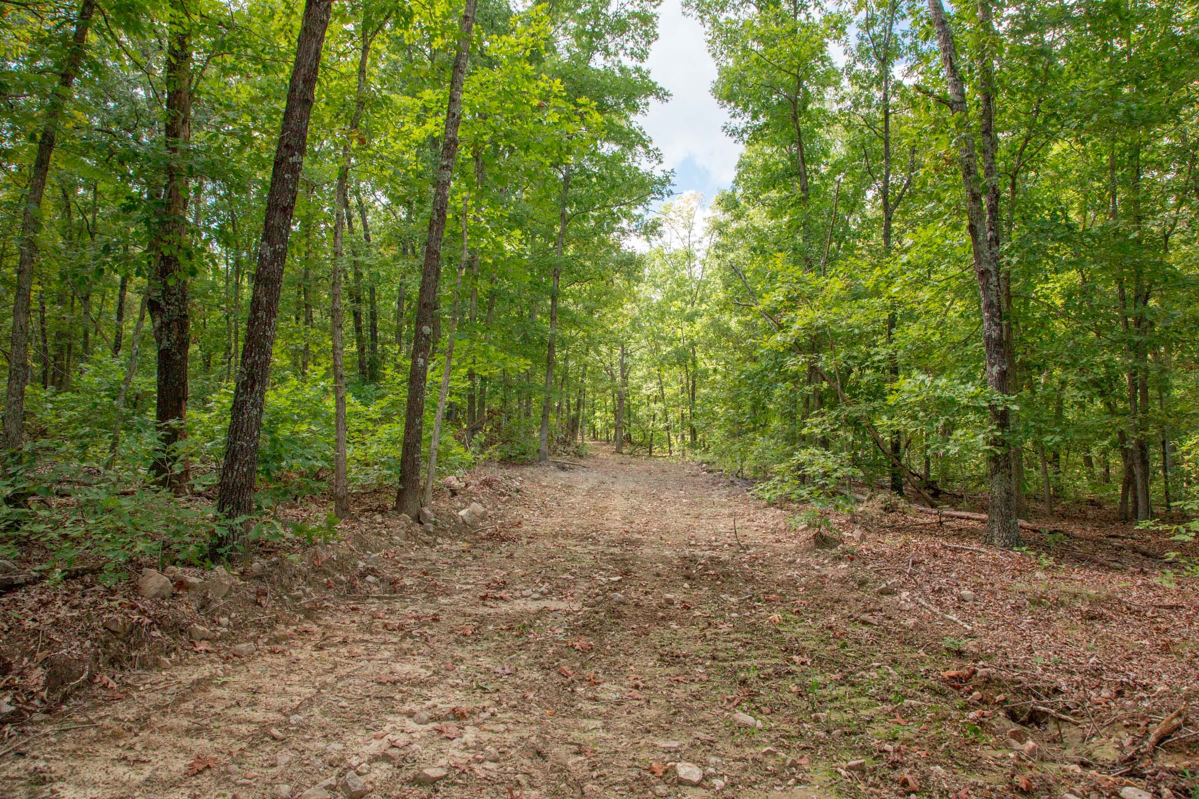 Wagon Wheel Ranch Tract 30 photo 5