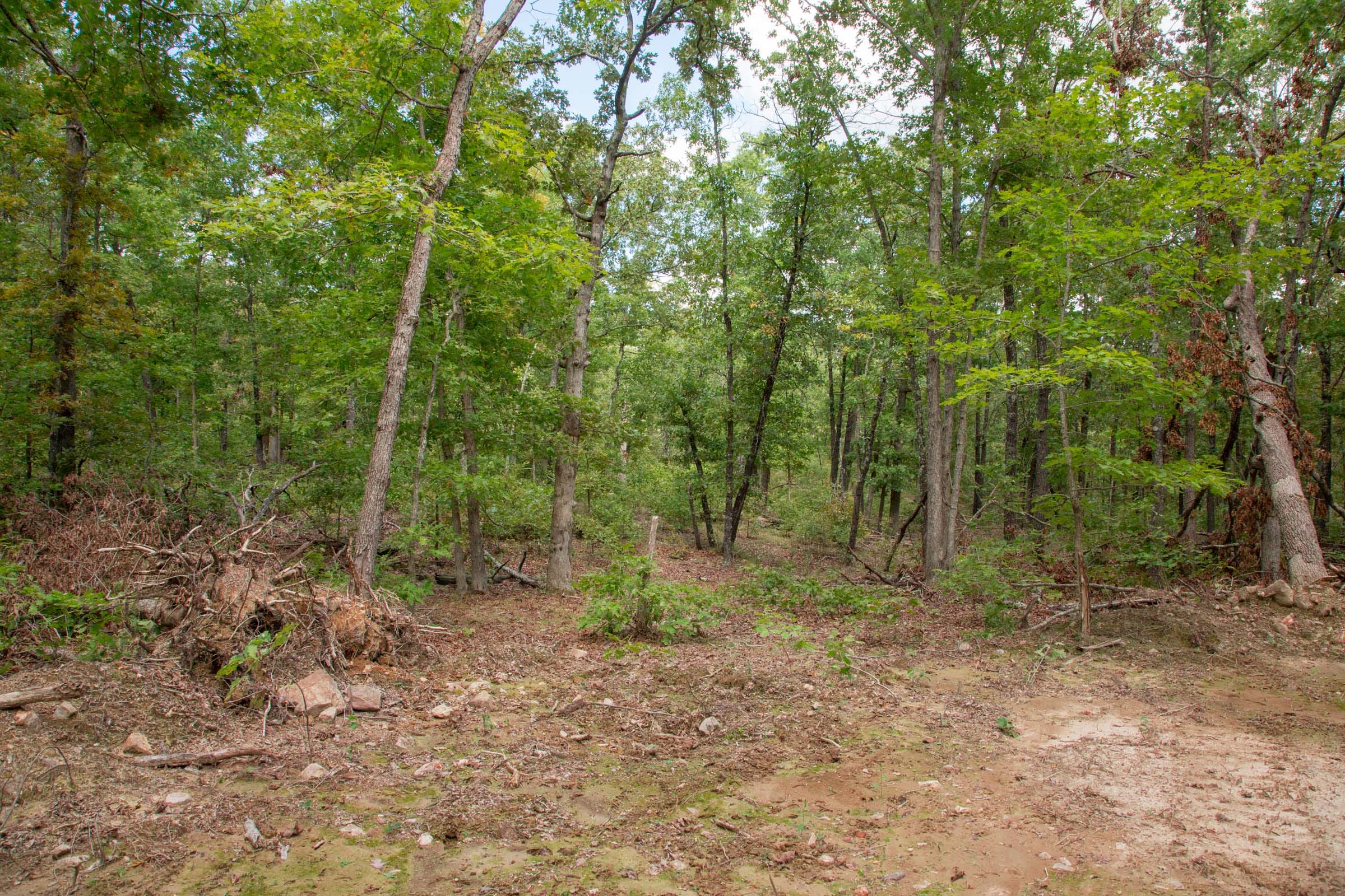 Wagon Wheel Ranch Tract 30 photo 6