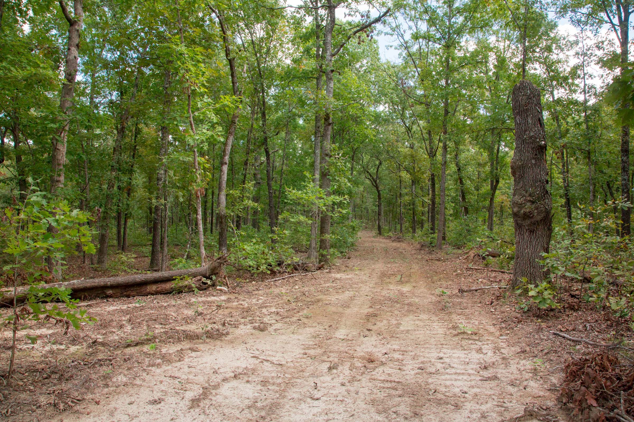 Wagon Wheel Ranch Tract 30 photo 2