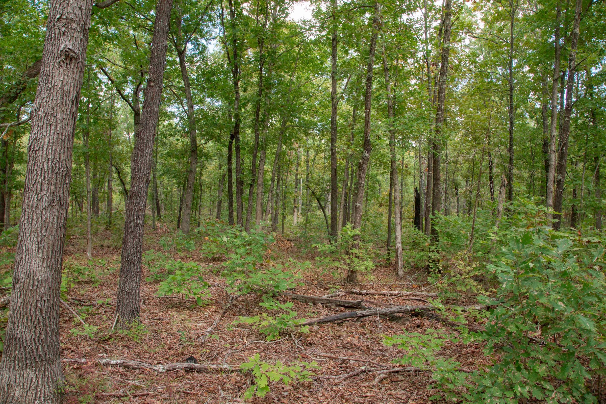 Wagon Wheel Ranch Tract 30 photo 1