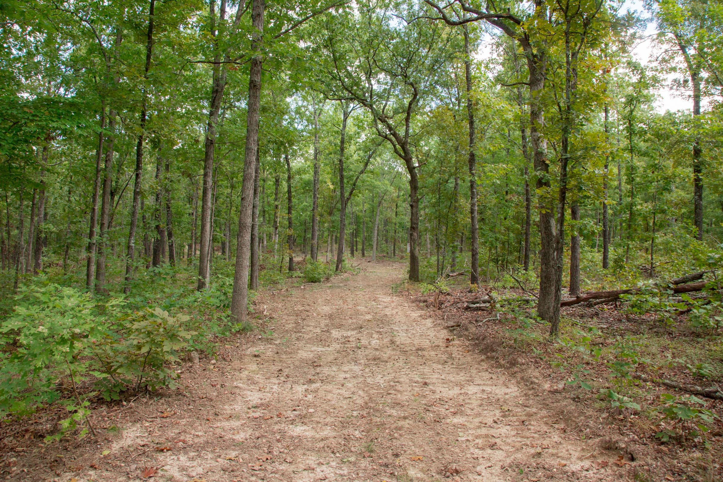 Wagon Wheel Ranch Tract 30 photo 7