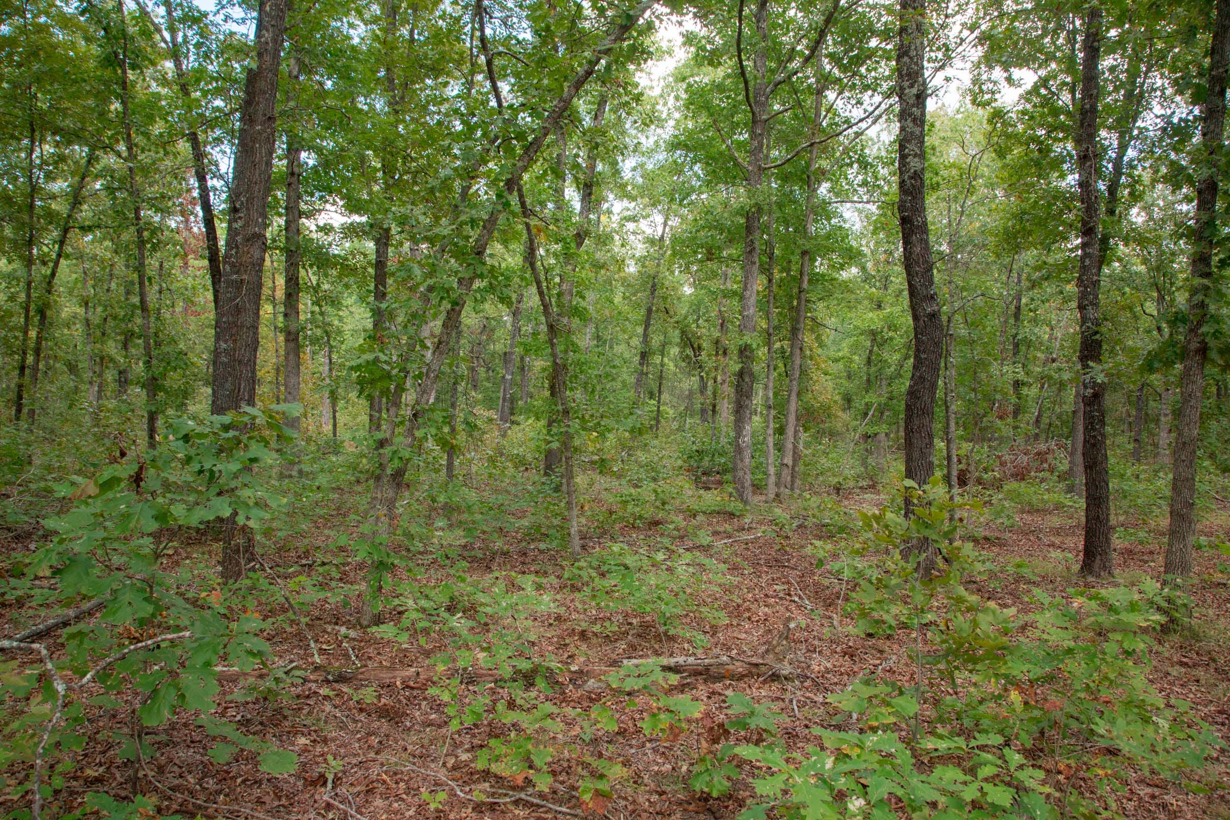 Wagon Wheel Ranch Tract 30 photo 9