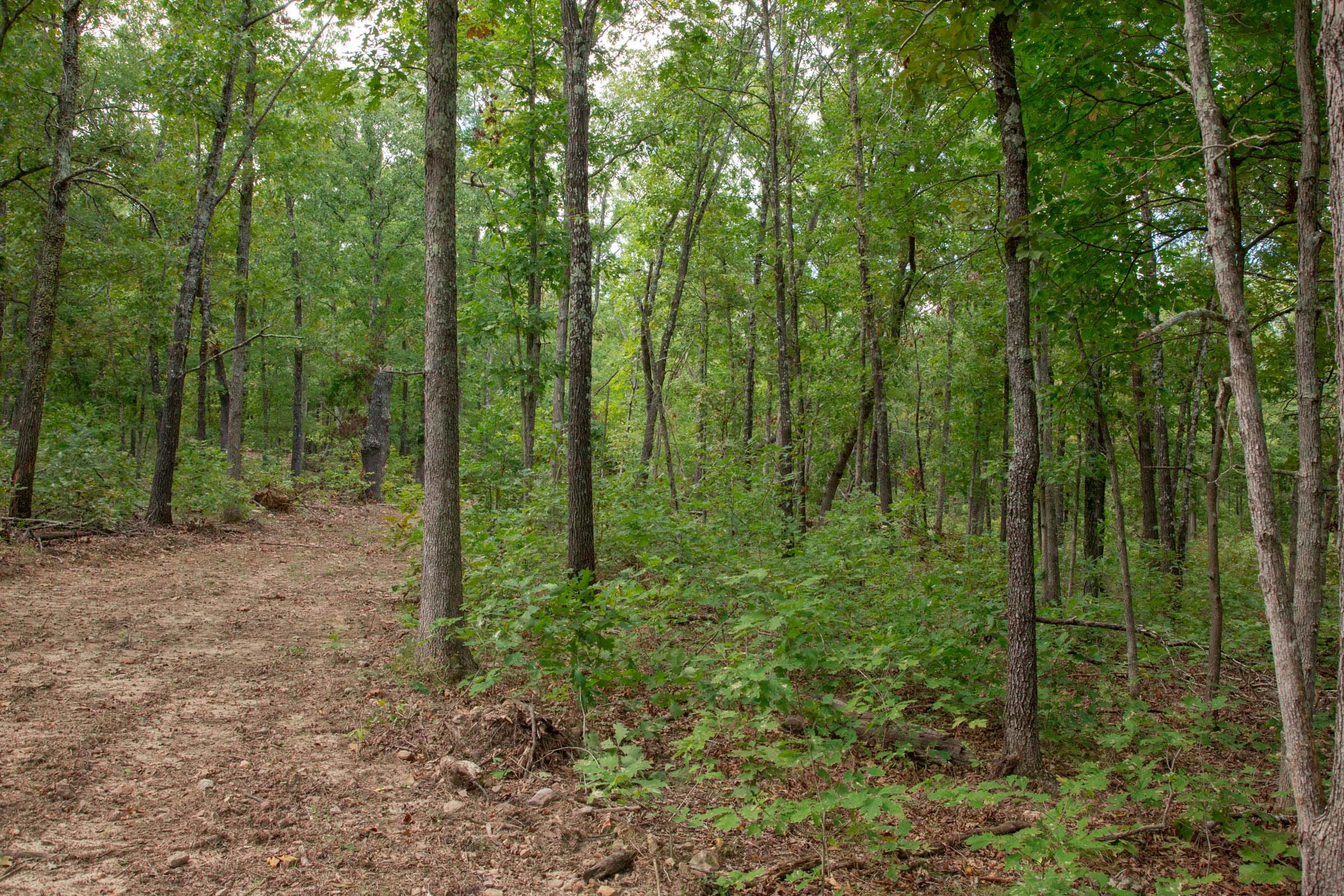 Wagon Wheel Ranch Tract 30 photo 10