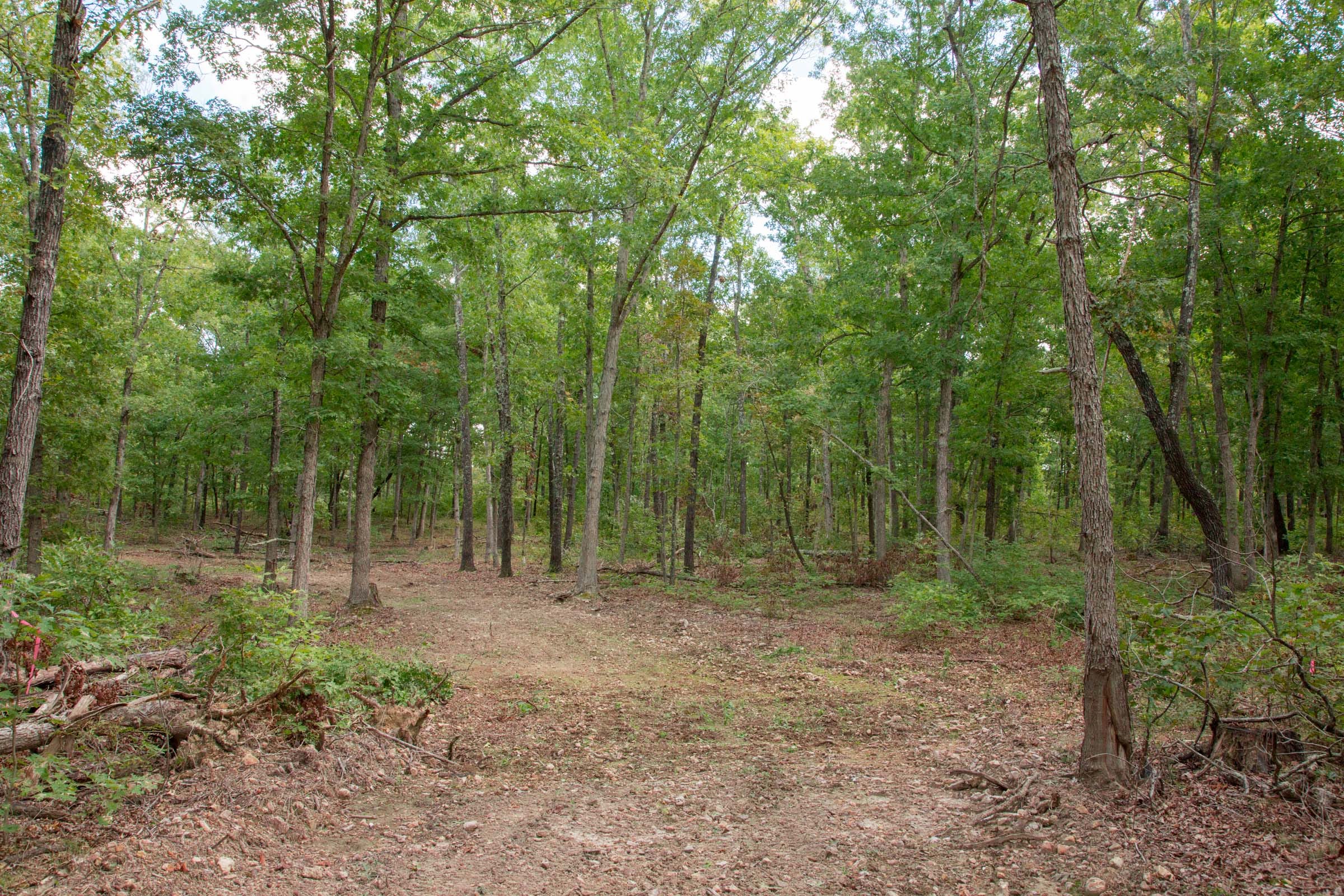 Wagon Wheel Ranch Tract 30 photo 11