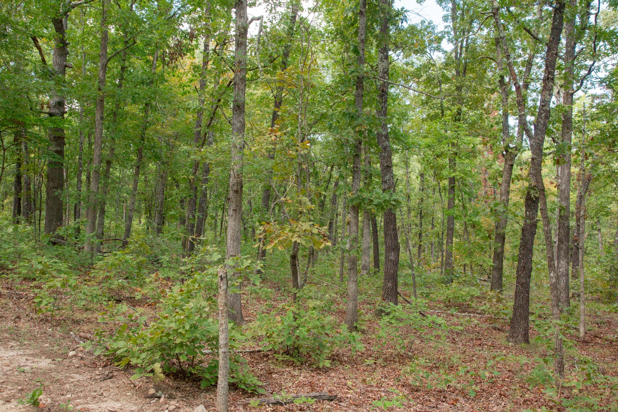 Wagon Wheel Ranch Tract 30 photo 12