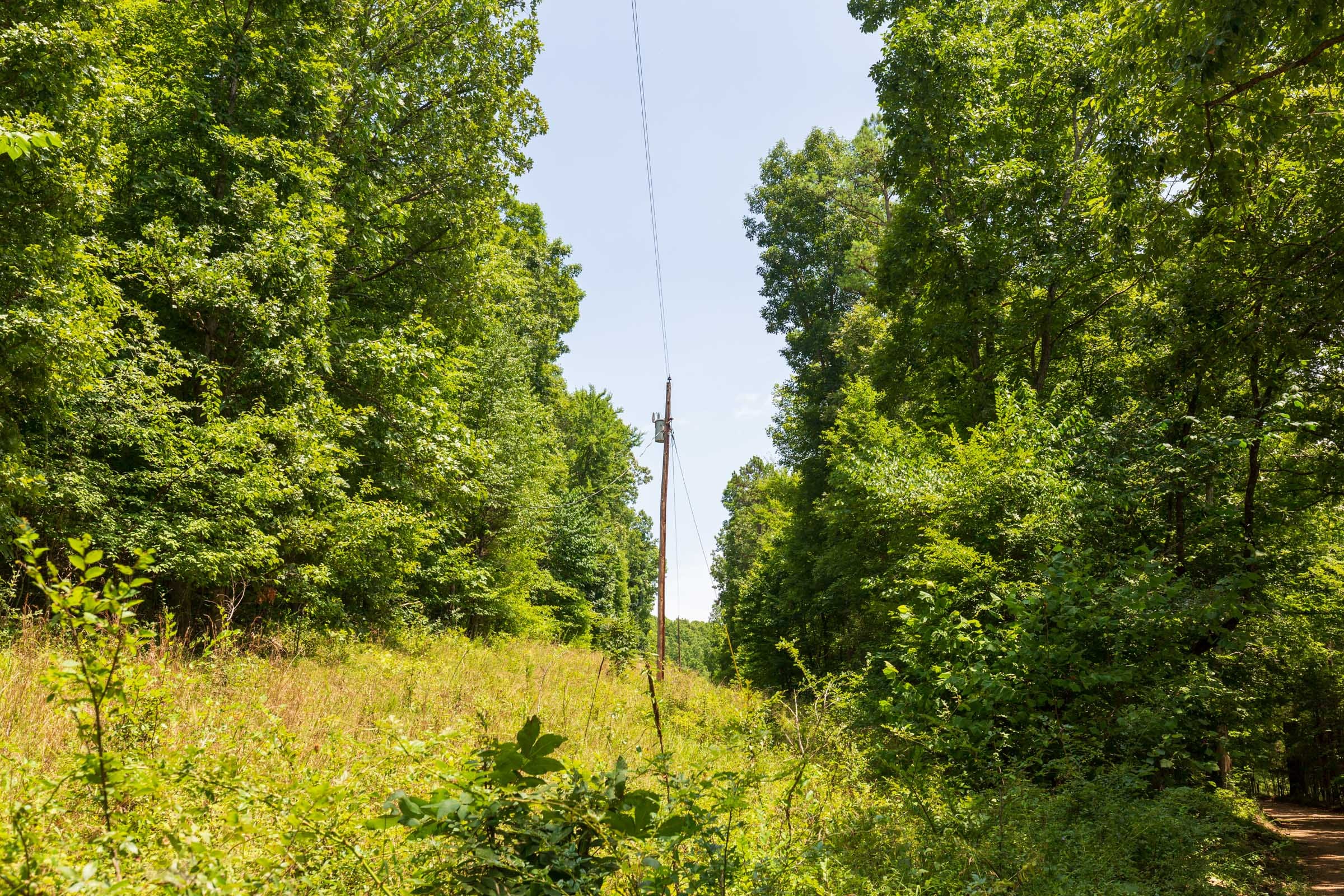 Cypress Ridge Tract 3 photo 2