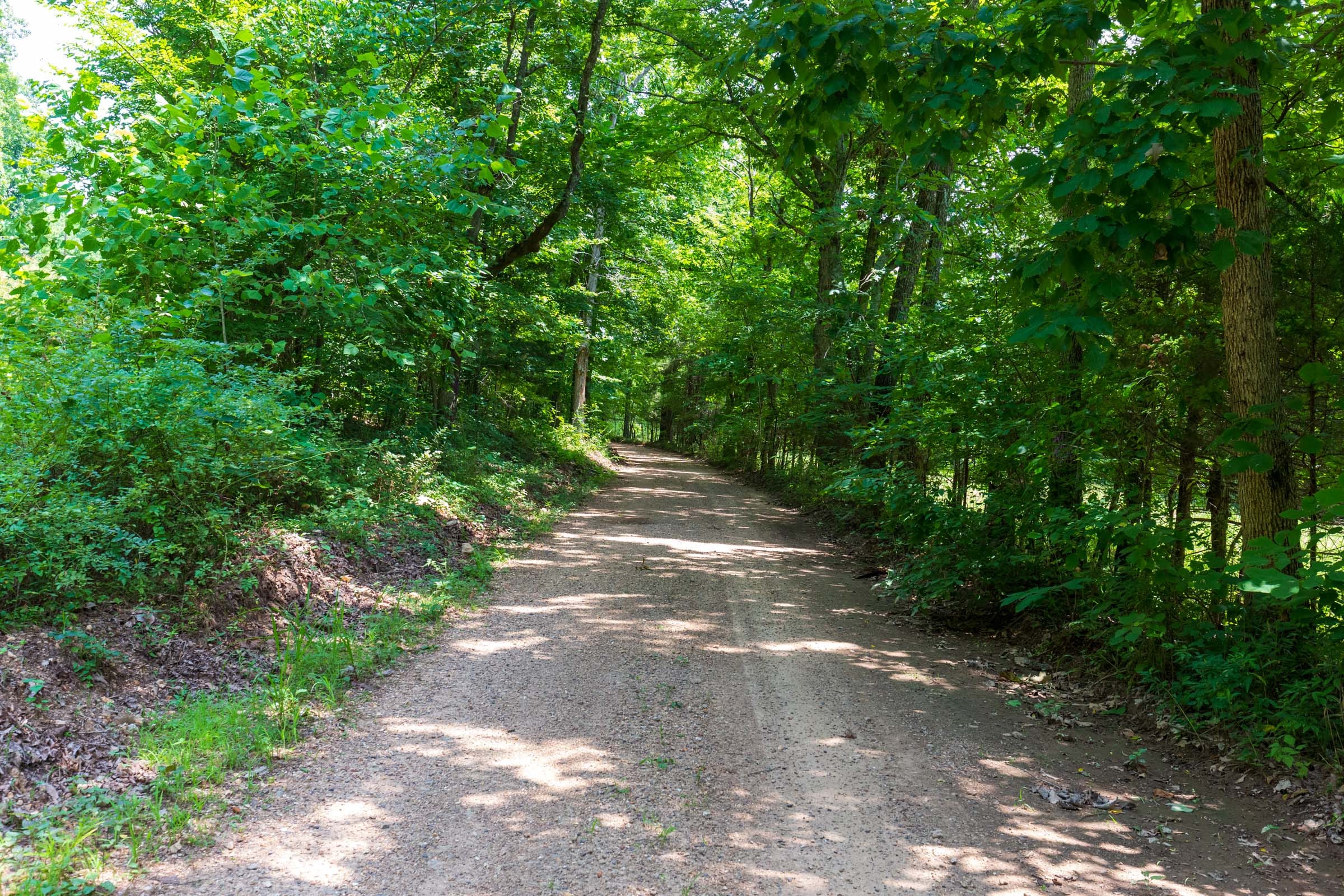 Cypress Ridge Tract 3 photo 5