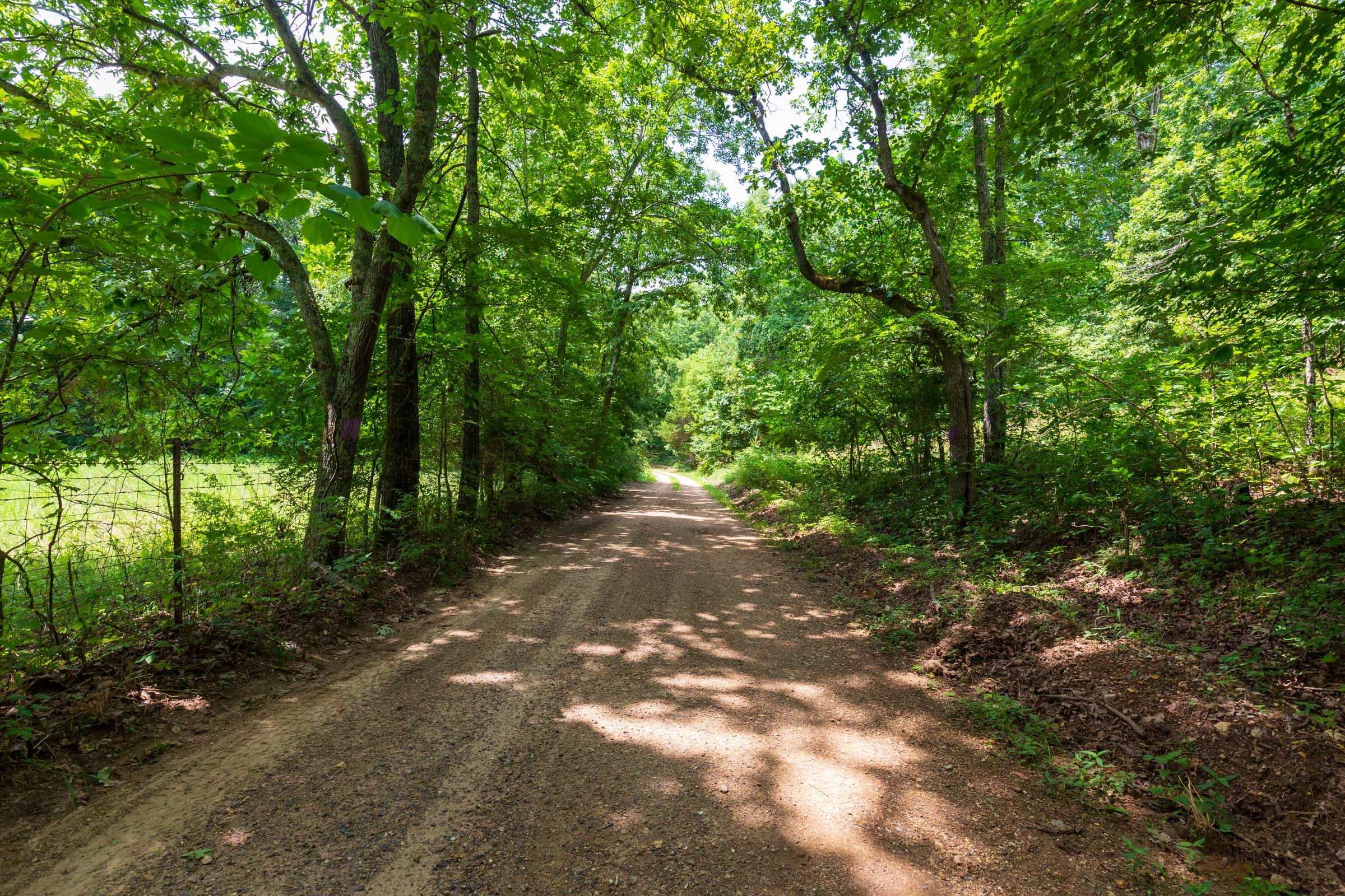 Cypress Ridge Tract 3 photo 9