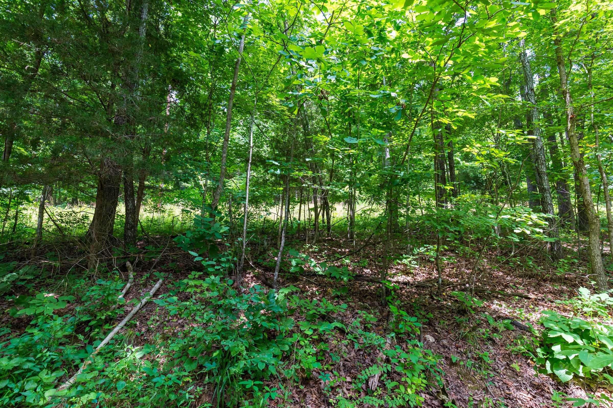 Cypress Ridge Tract 3 photo 6