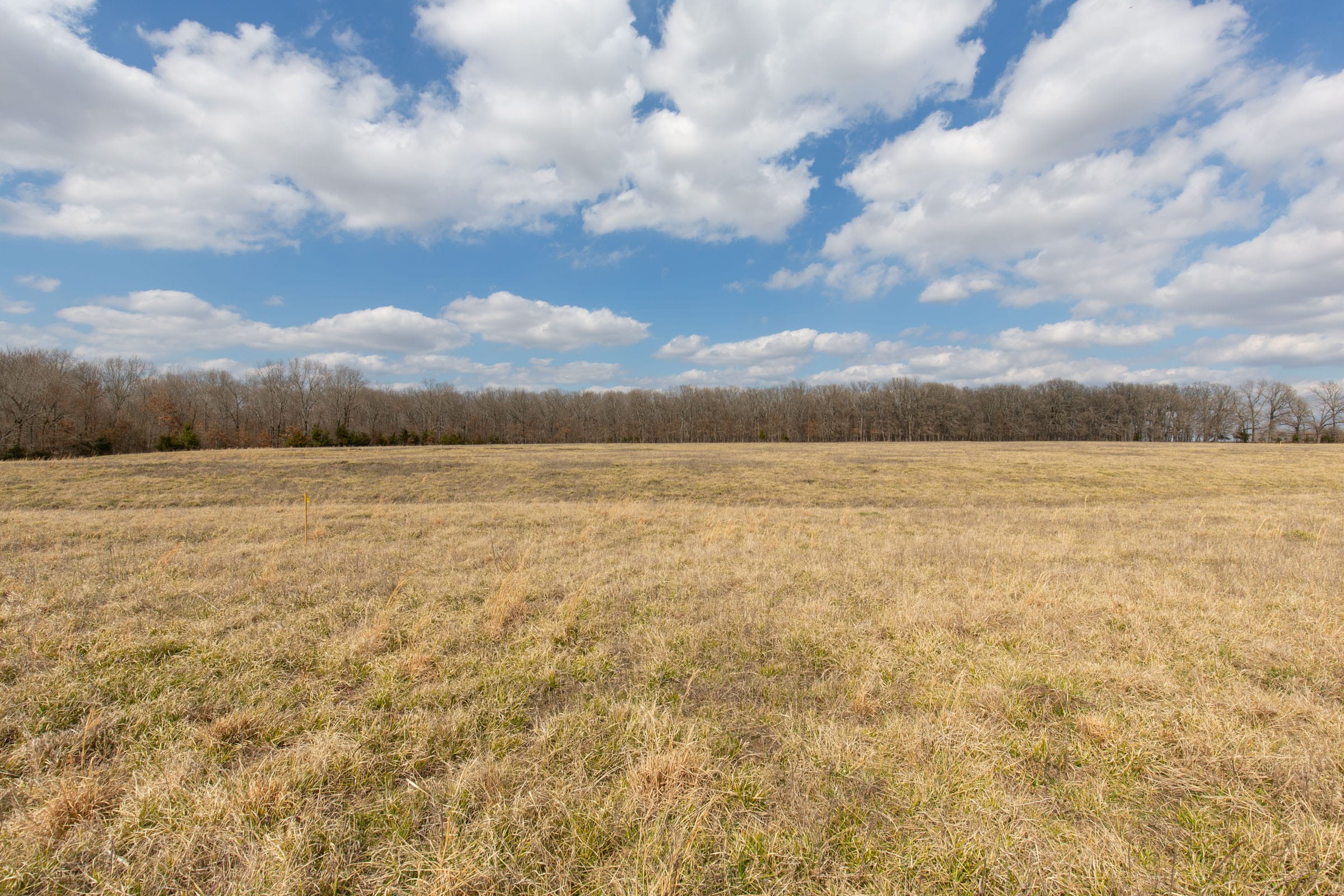 Wishing Star Ranch Tract 68 photo 2
