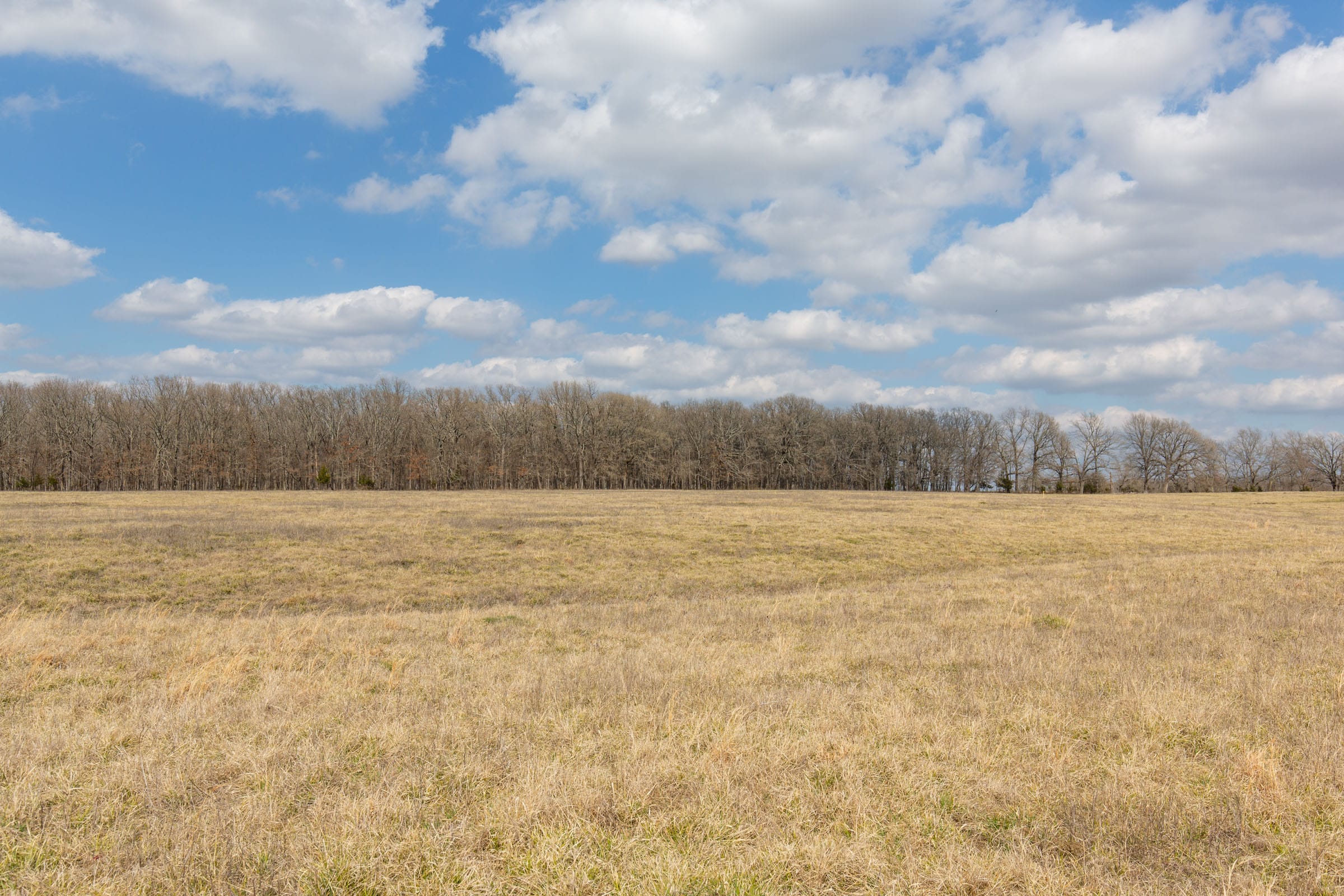 Wishing Star Ranch Tract 68 photo 3
