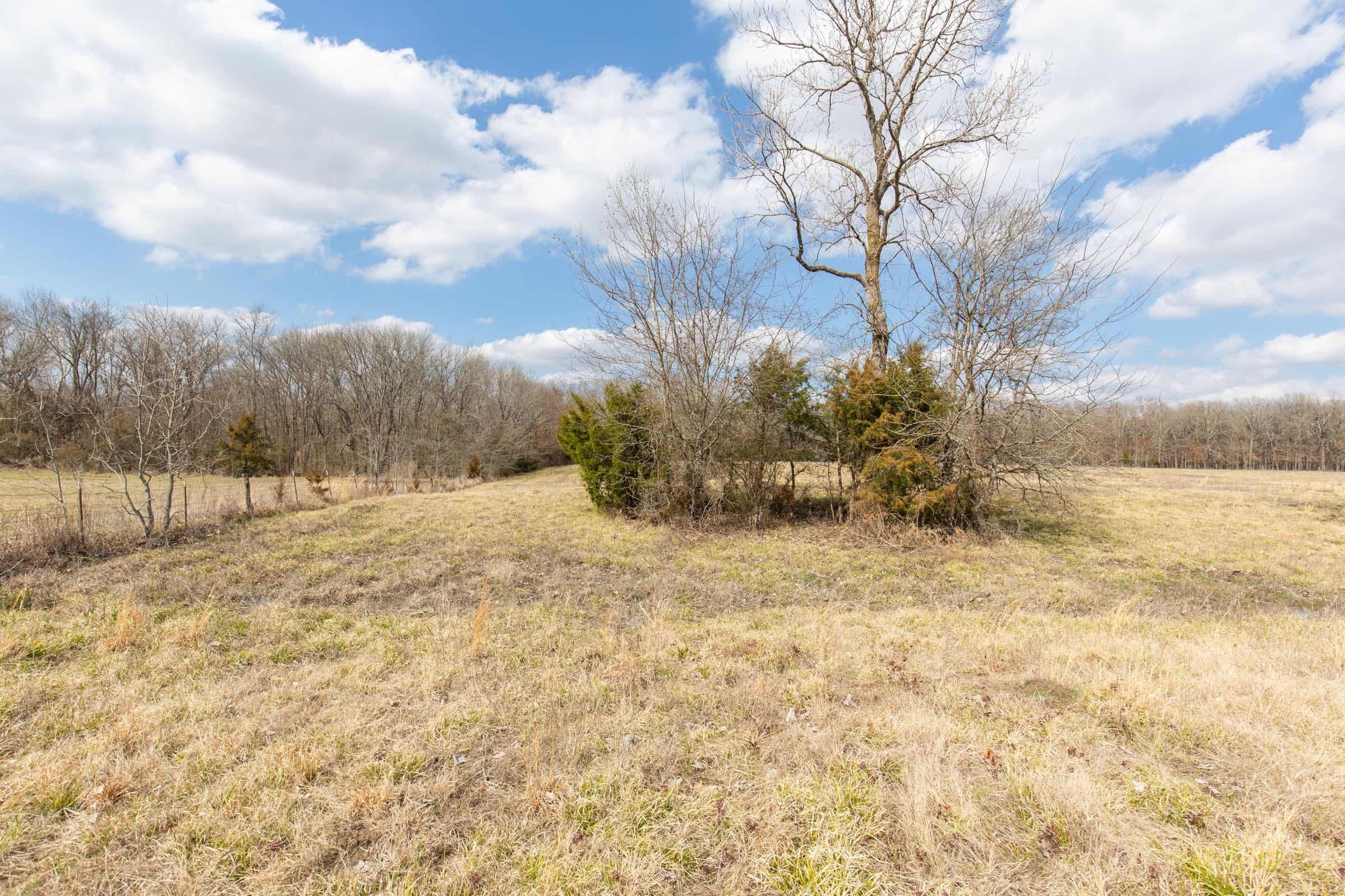 Wishing Star Ranch Tract 68 photo 4