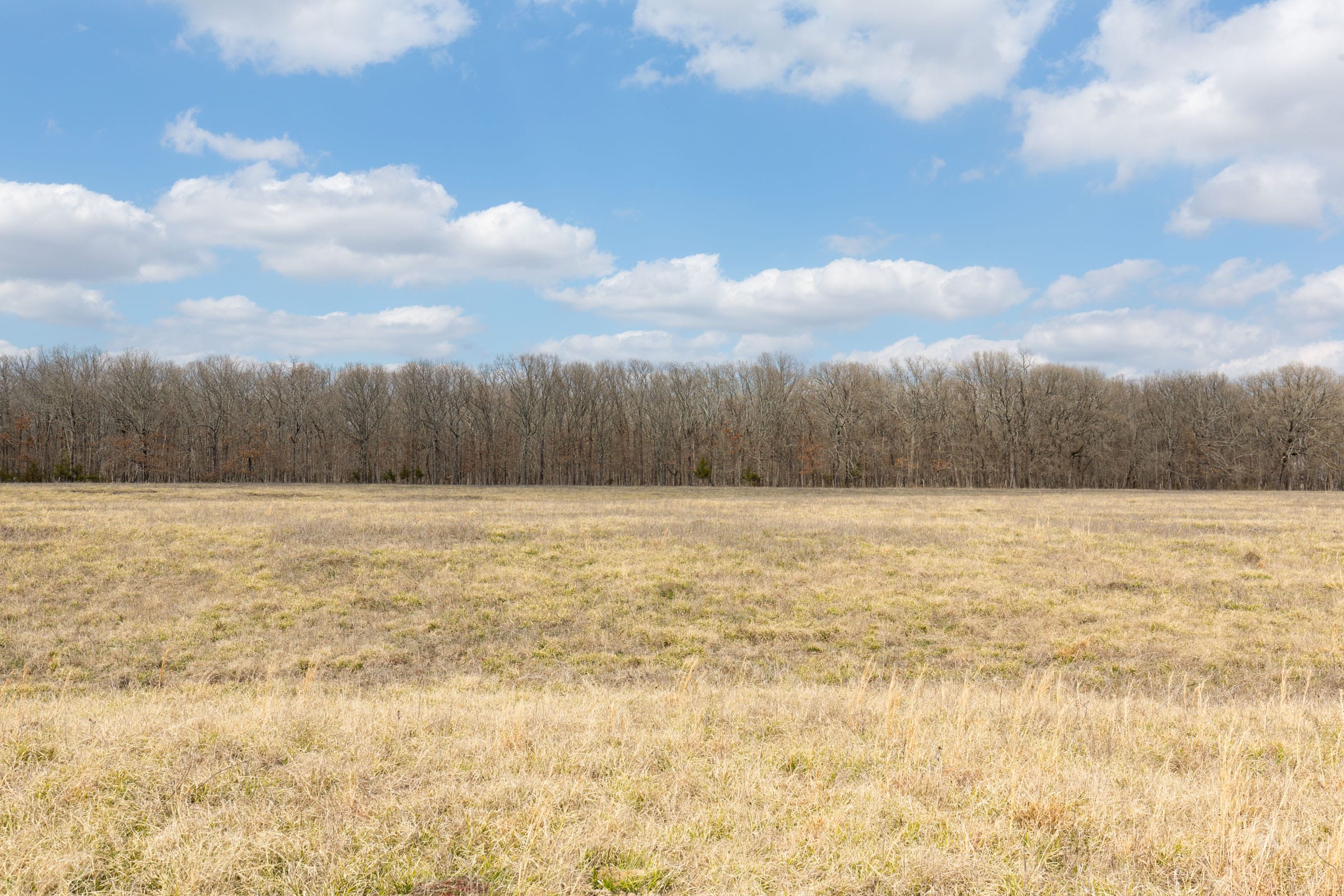 Wishing Star Ranch Tract 68 photo 5