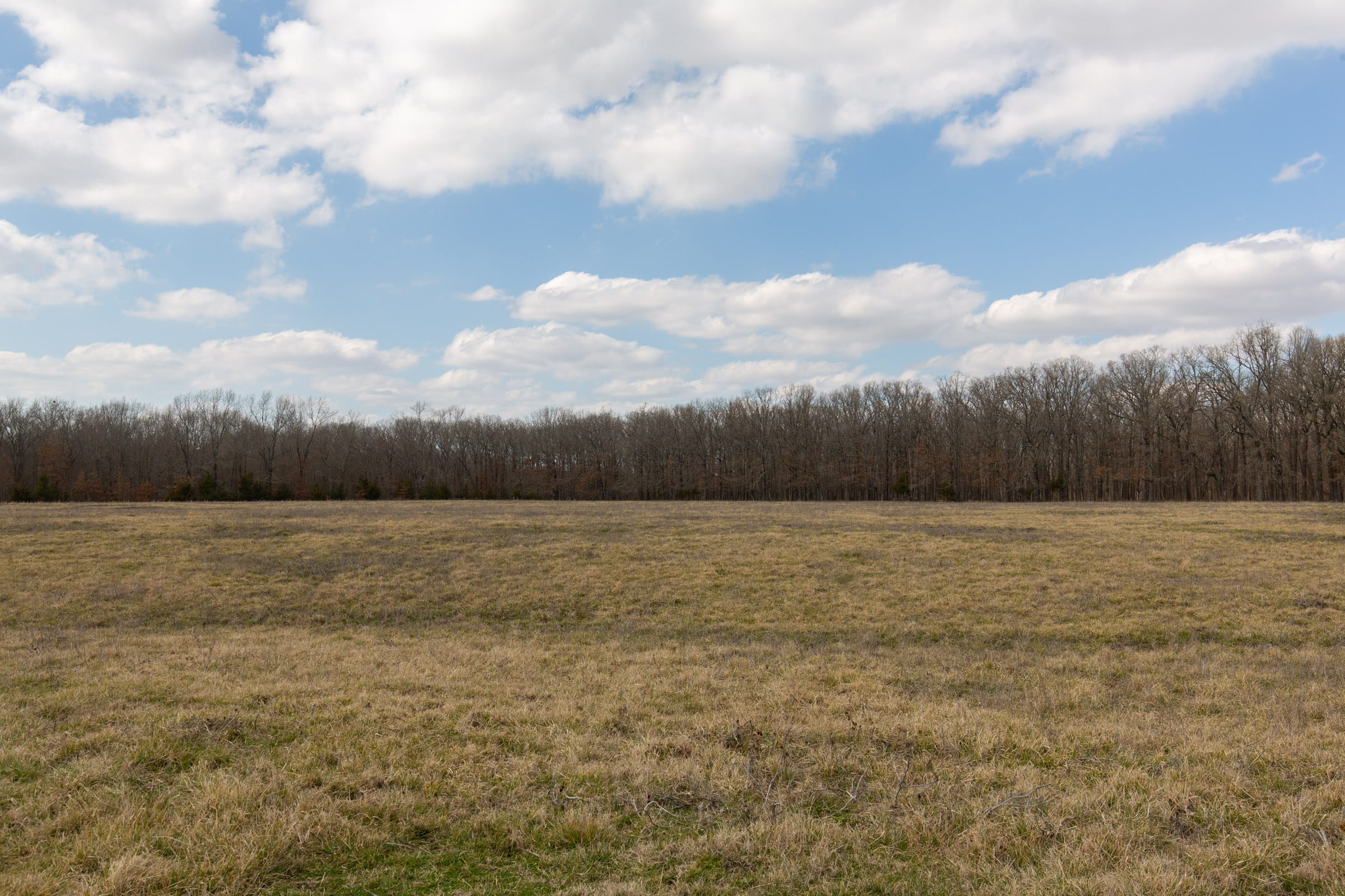 Wishing Star Ranch Tract 68 photo 7