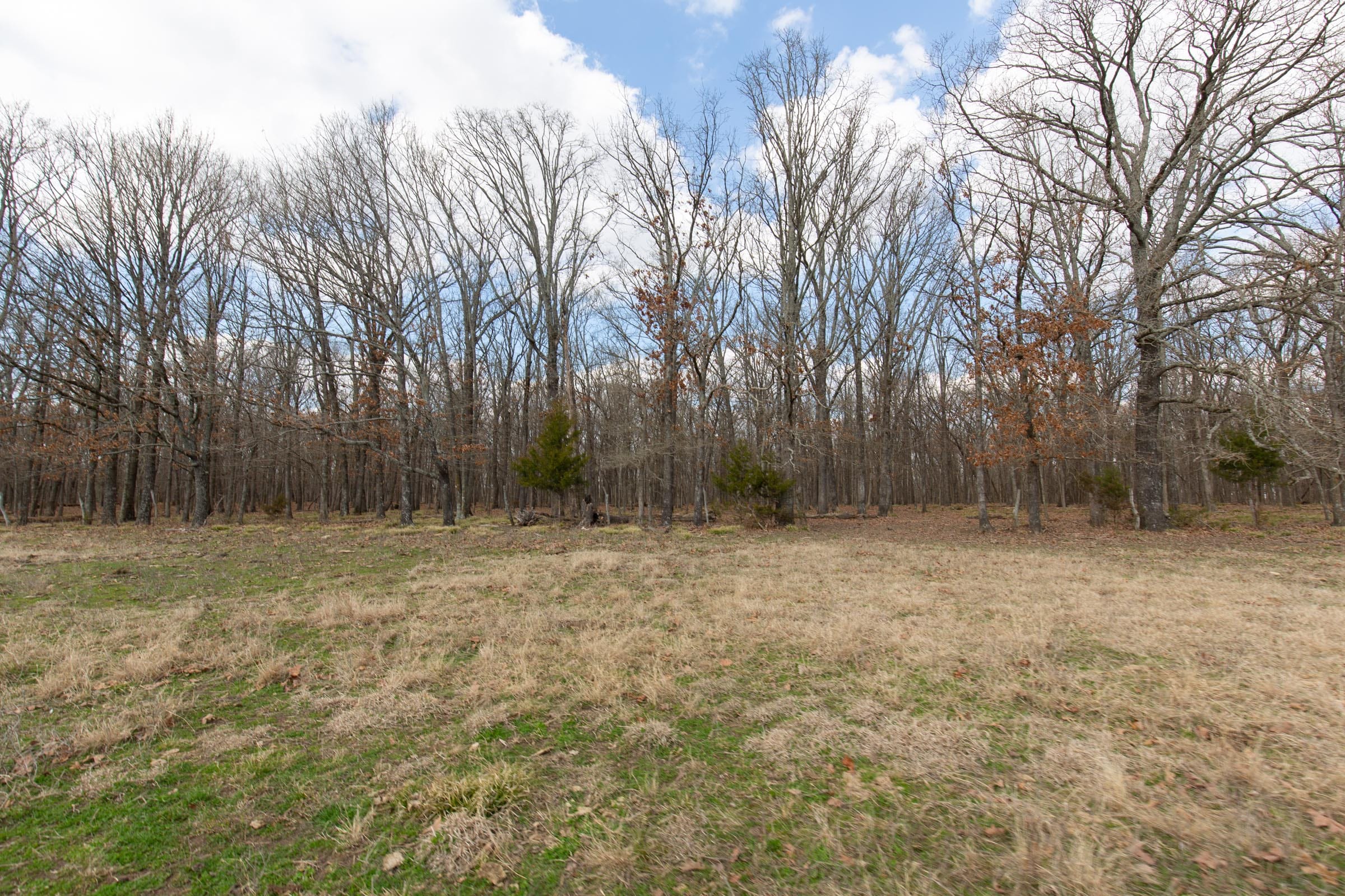 Wishing Star Ranch Tract 68 photo 8
