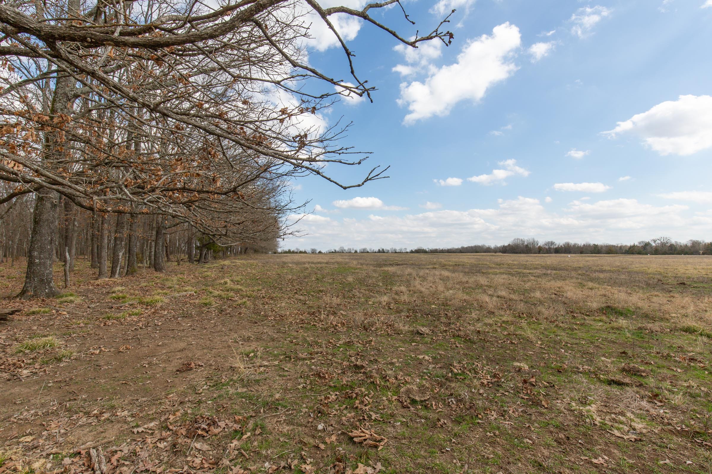 Wishing Star Ranch Tract 68 photo 10