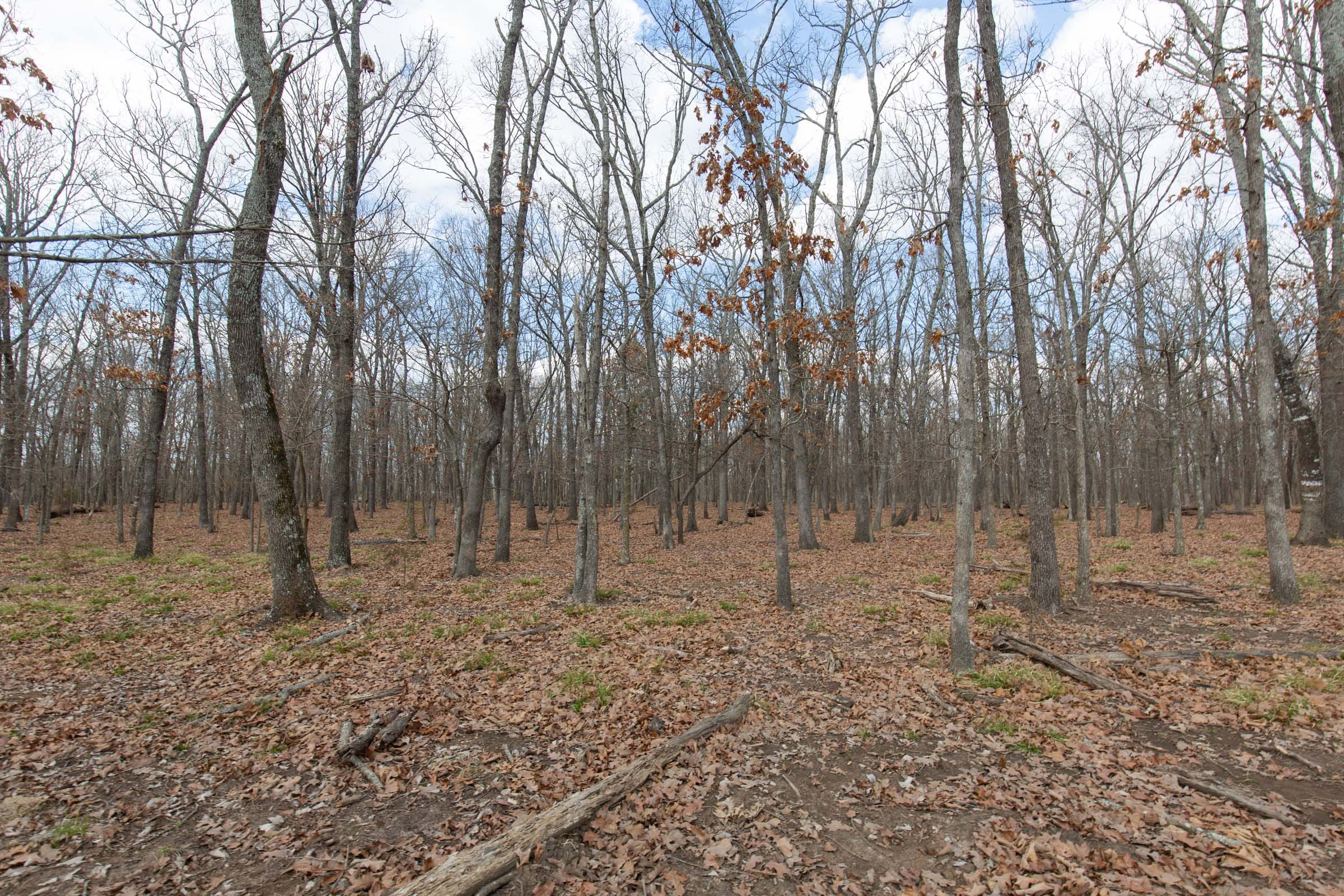 Wishing Star Ranch Tract 68 photo 11