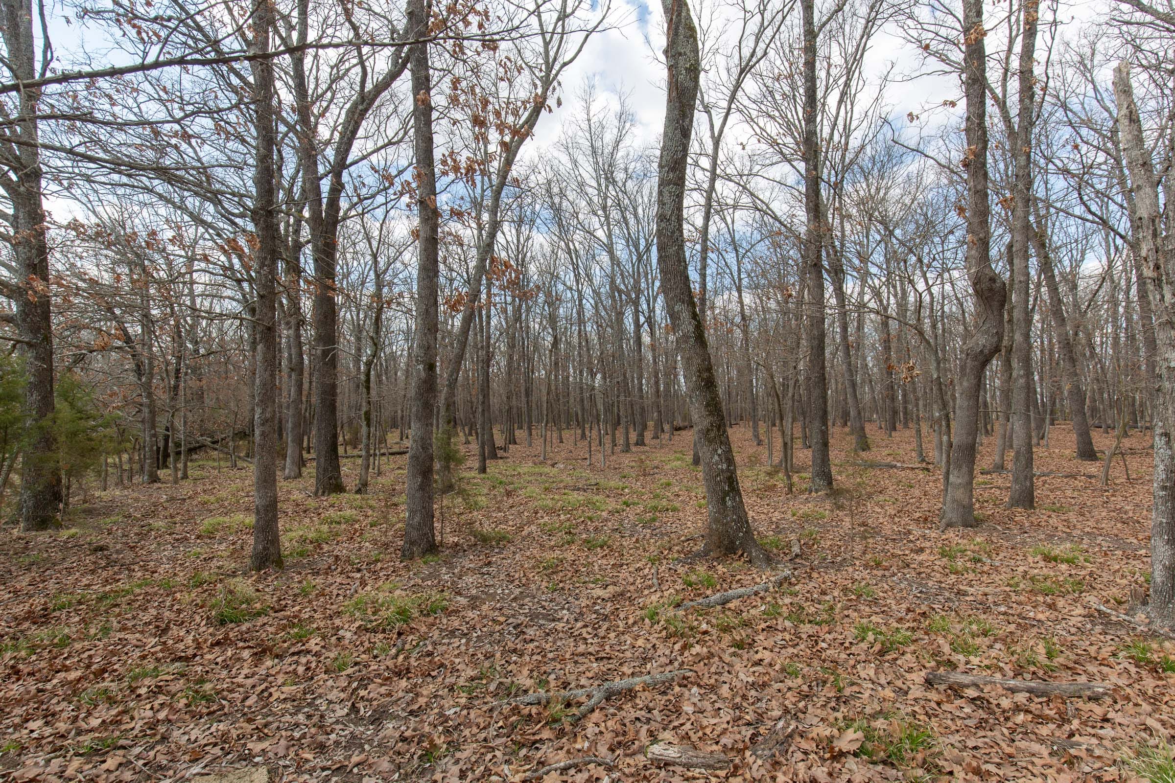 Wishing Star Ranch Tract 68 photo 12