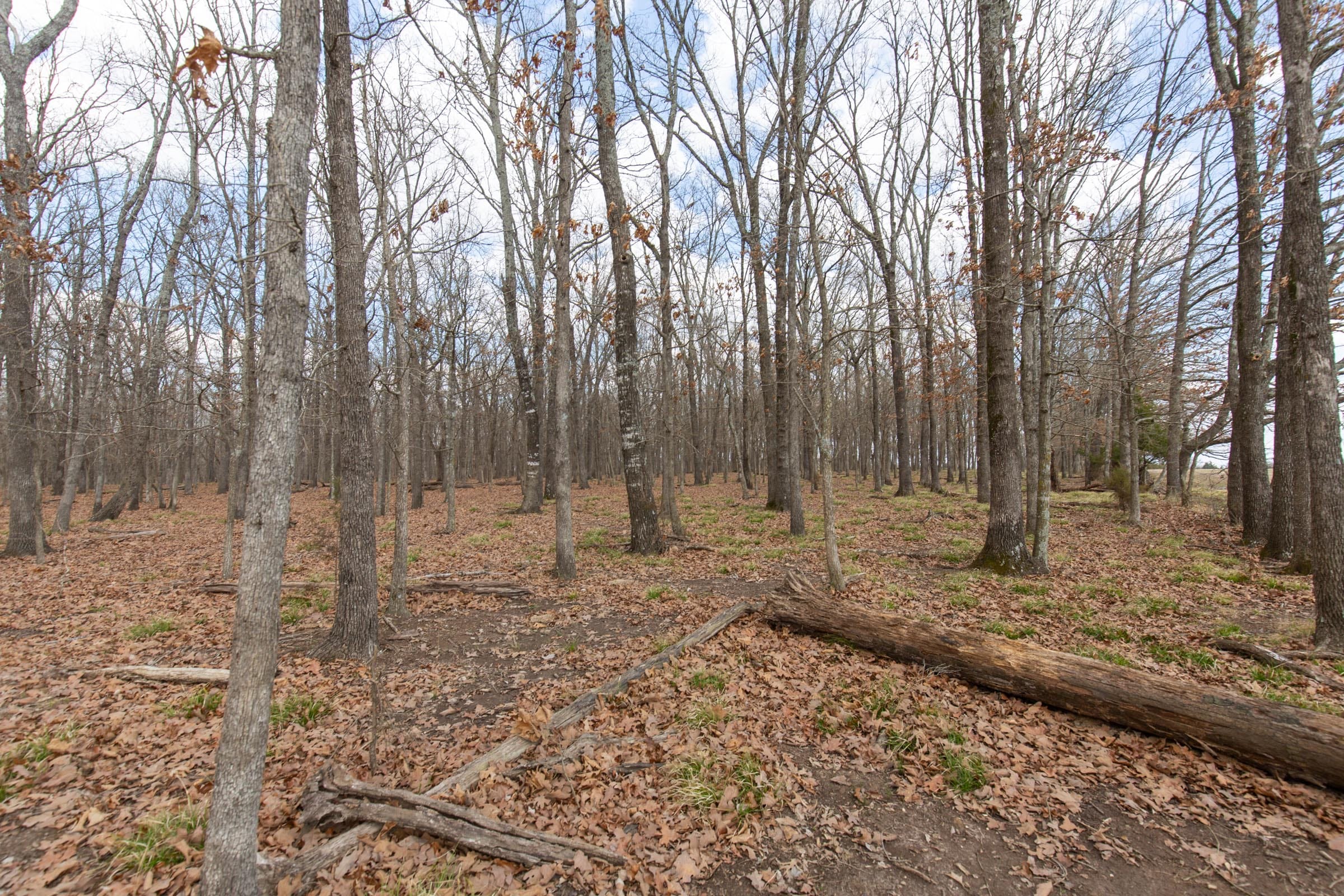 Wishing Star Ranch Tract 68 photo 13