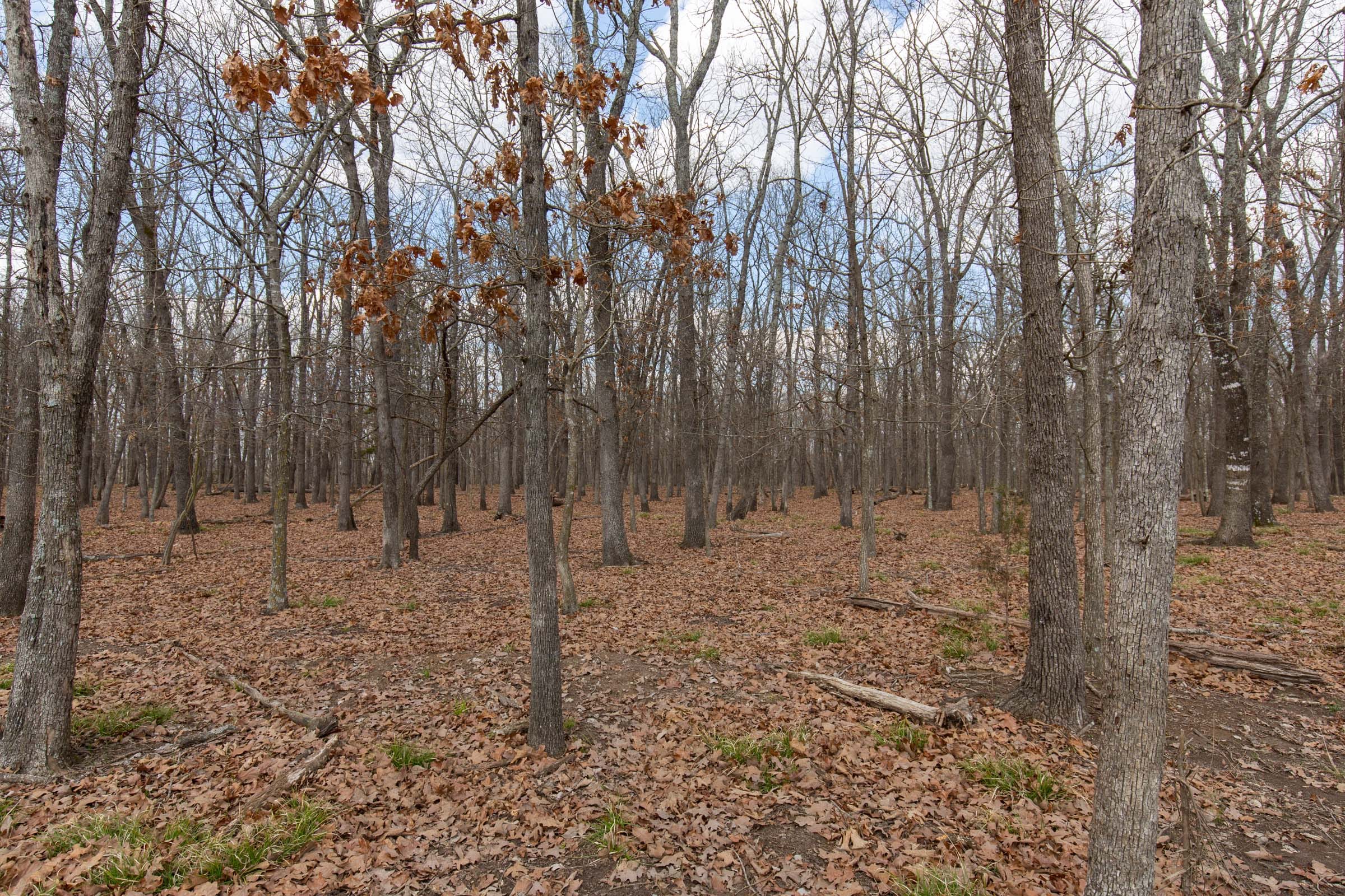 Wishing Star Ranch Tract 68 photo 14