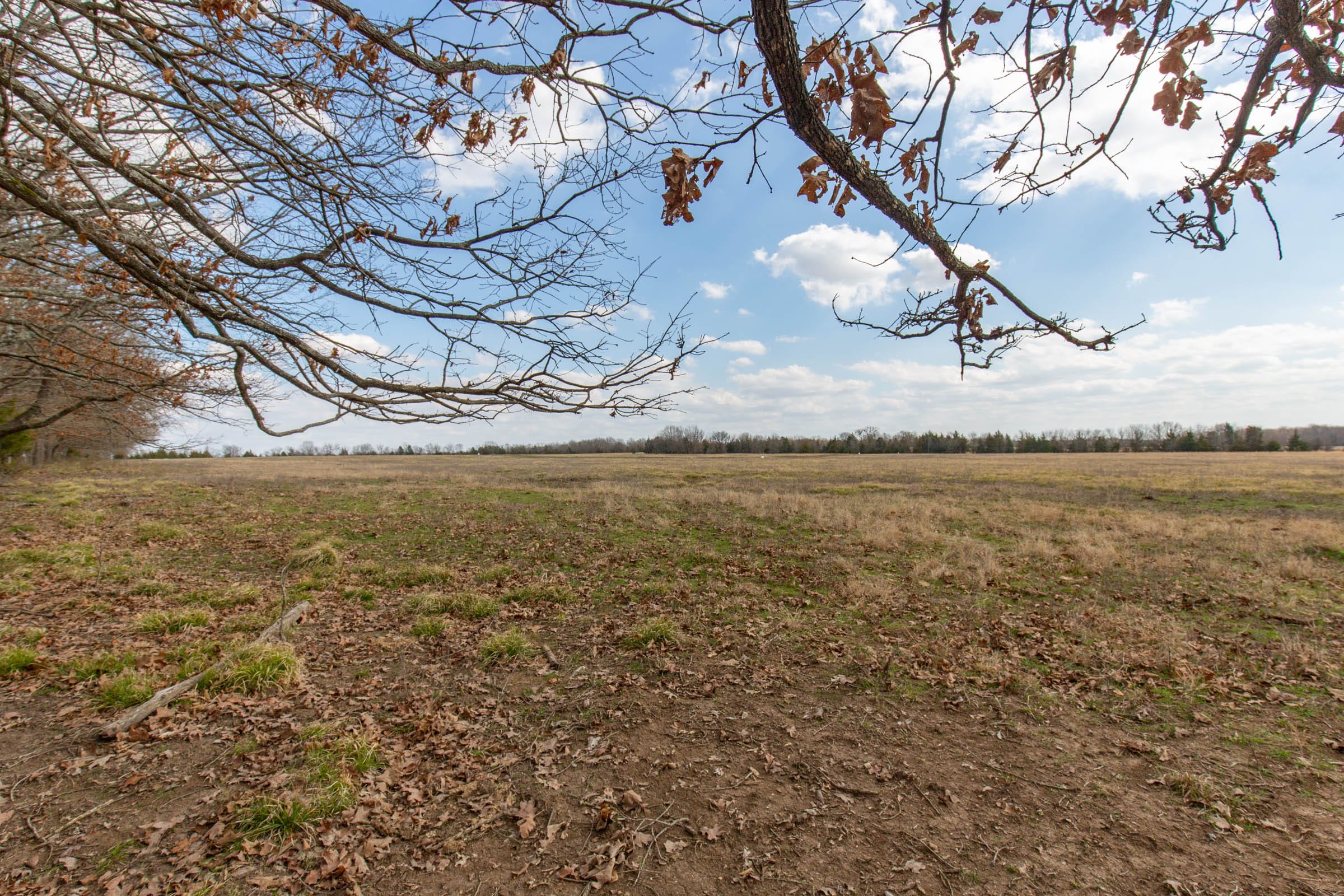 Wishing Star Ranch Tract 68 photo 15