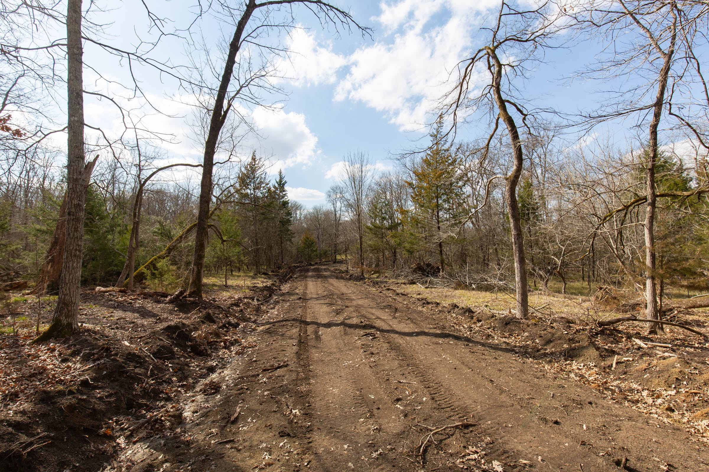 Wishing Star Ranch Tract 68 photo 9