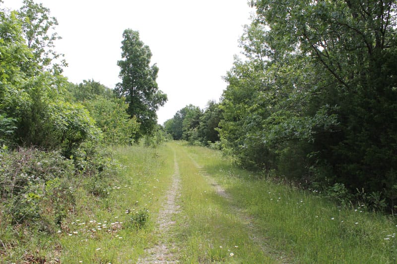 Cedar Ridge Ranch Tract 13 photo 1