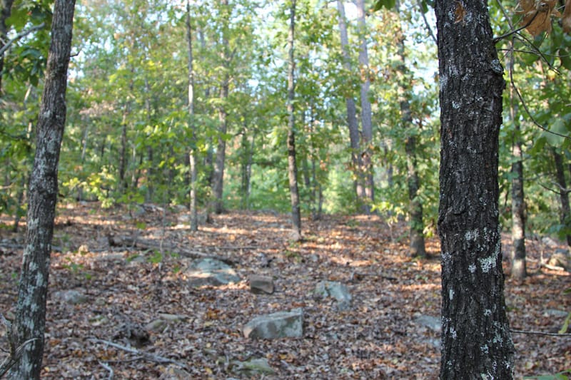 Trophy Ridge Phase I Tract 41 photo 3