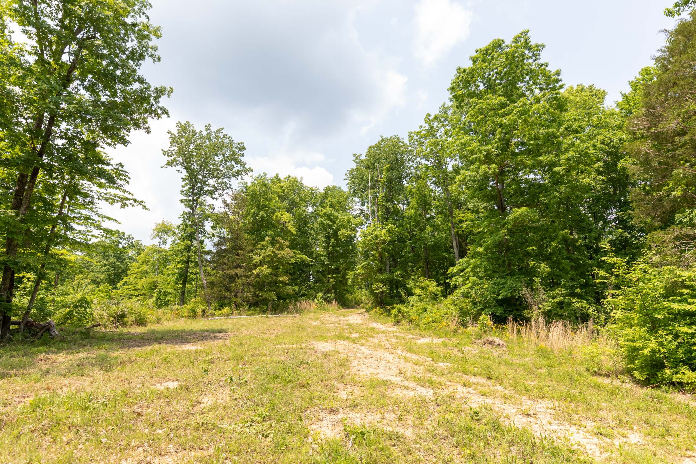 Cedar Creek Tract 13 photo 1