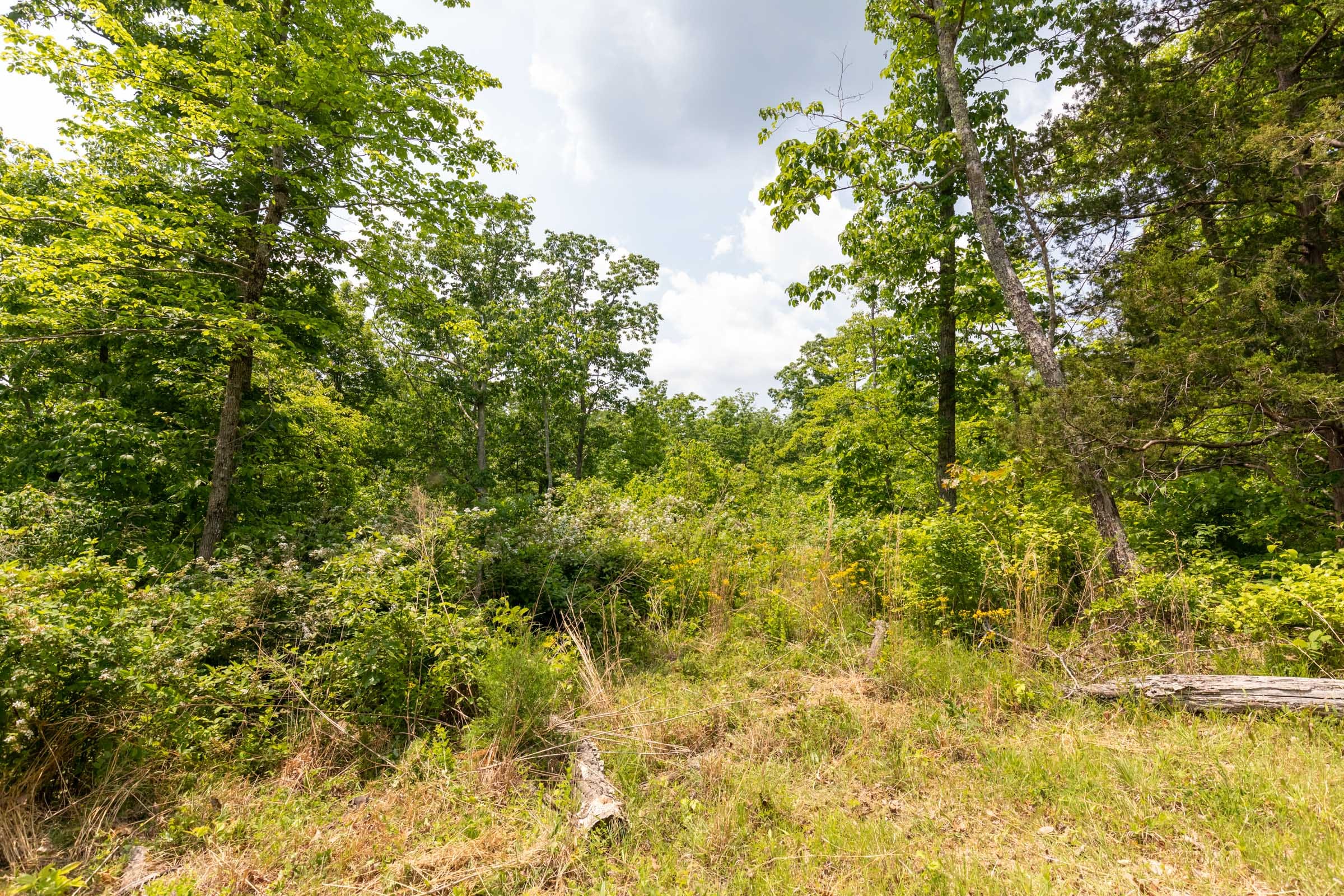 Cedar Creek Tract 13 photo 11