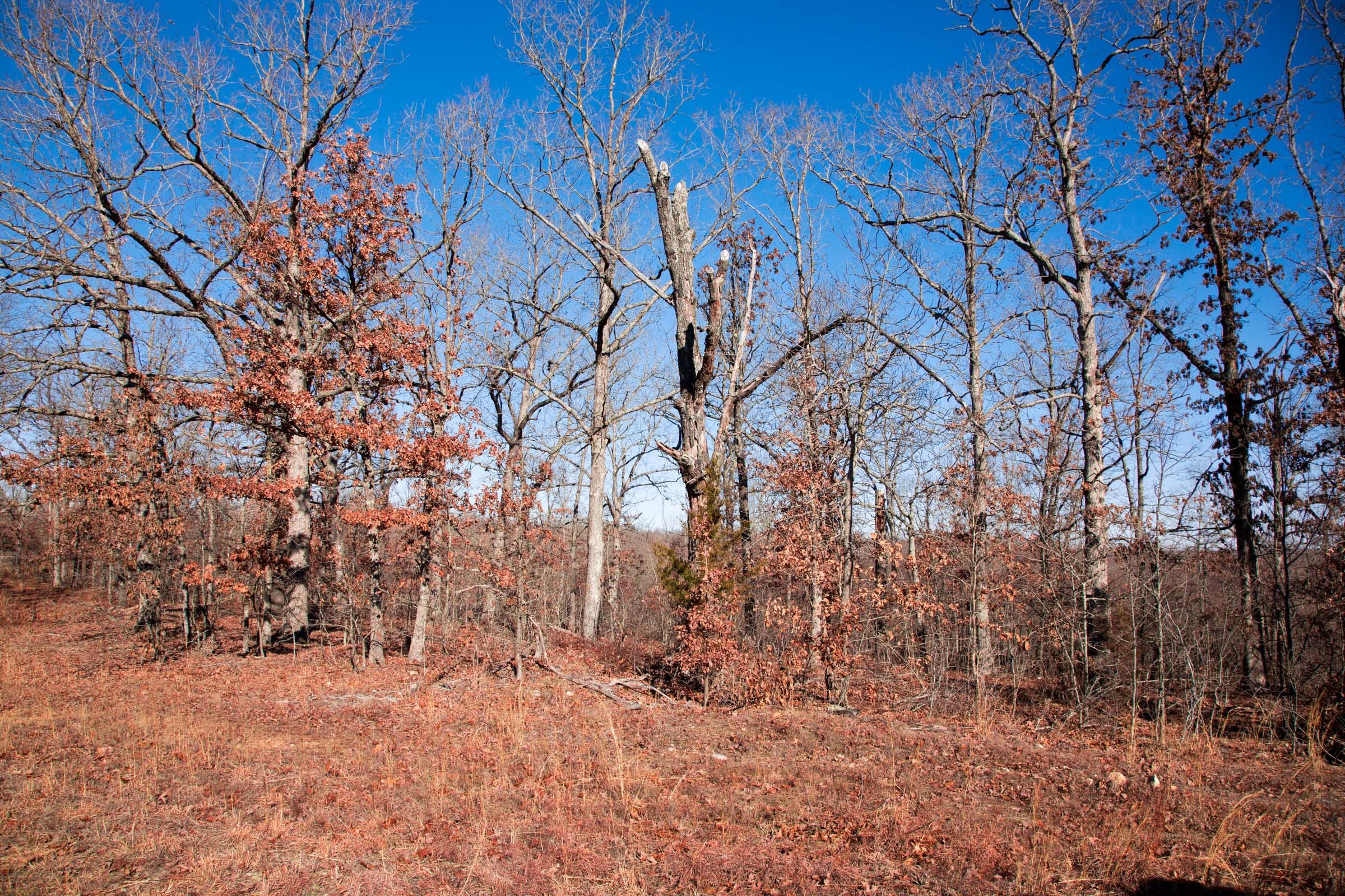 Buffalo Hills Tract 5 photo 2