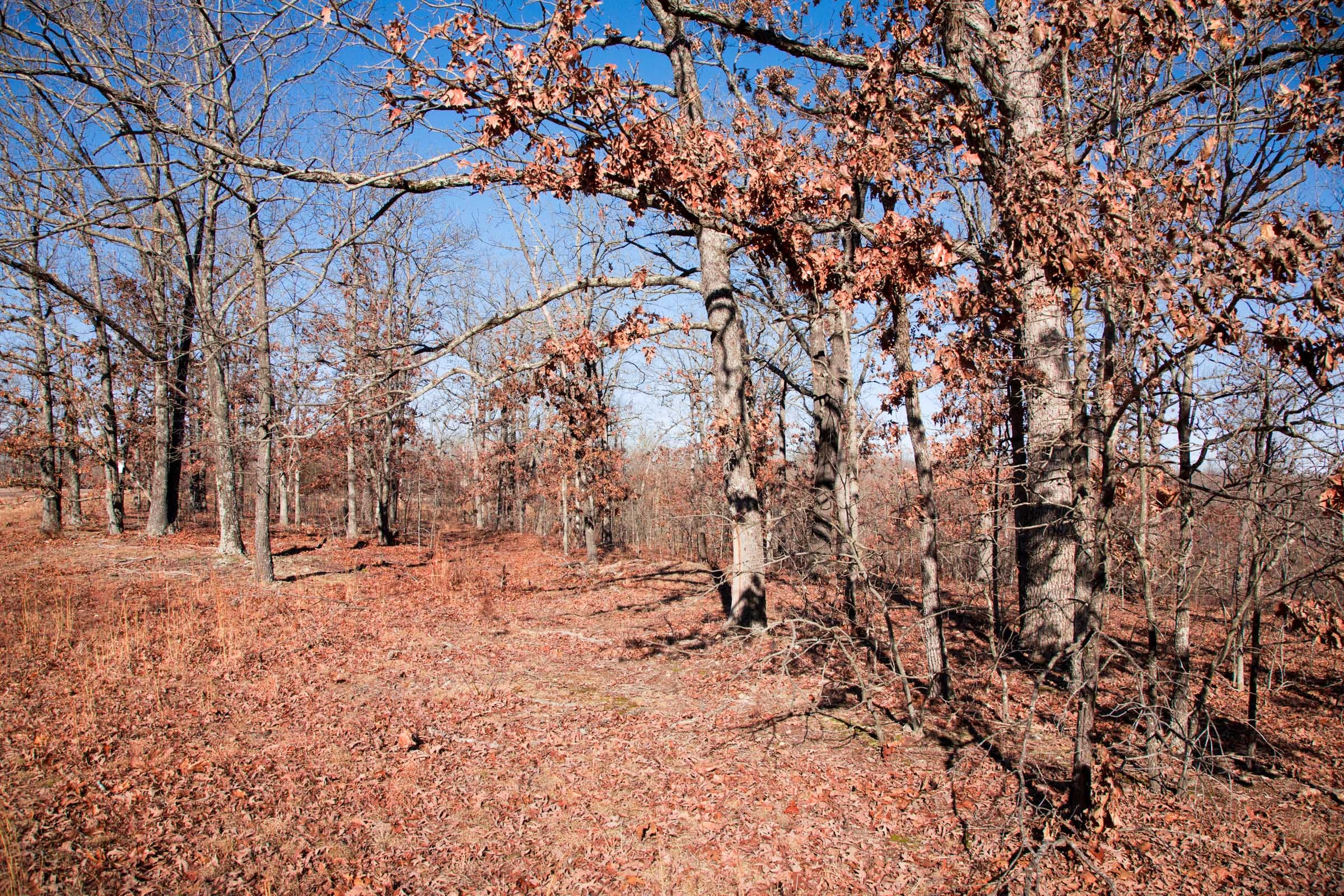 Buffalo Hills Tract 5 photo 3