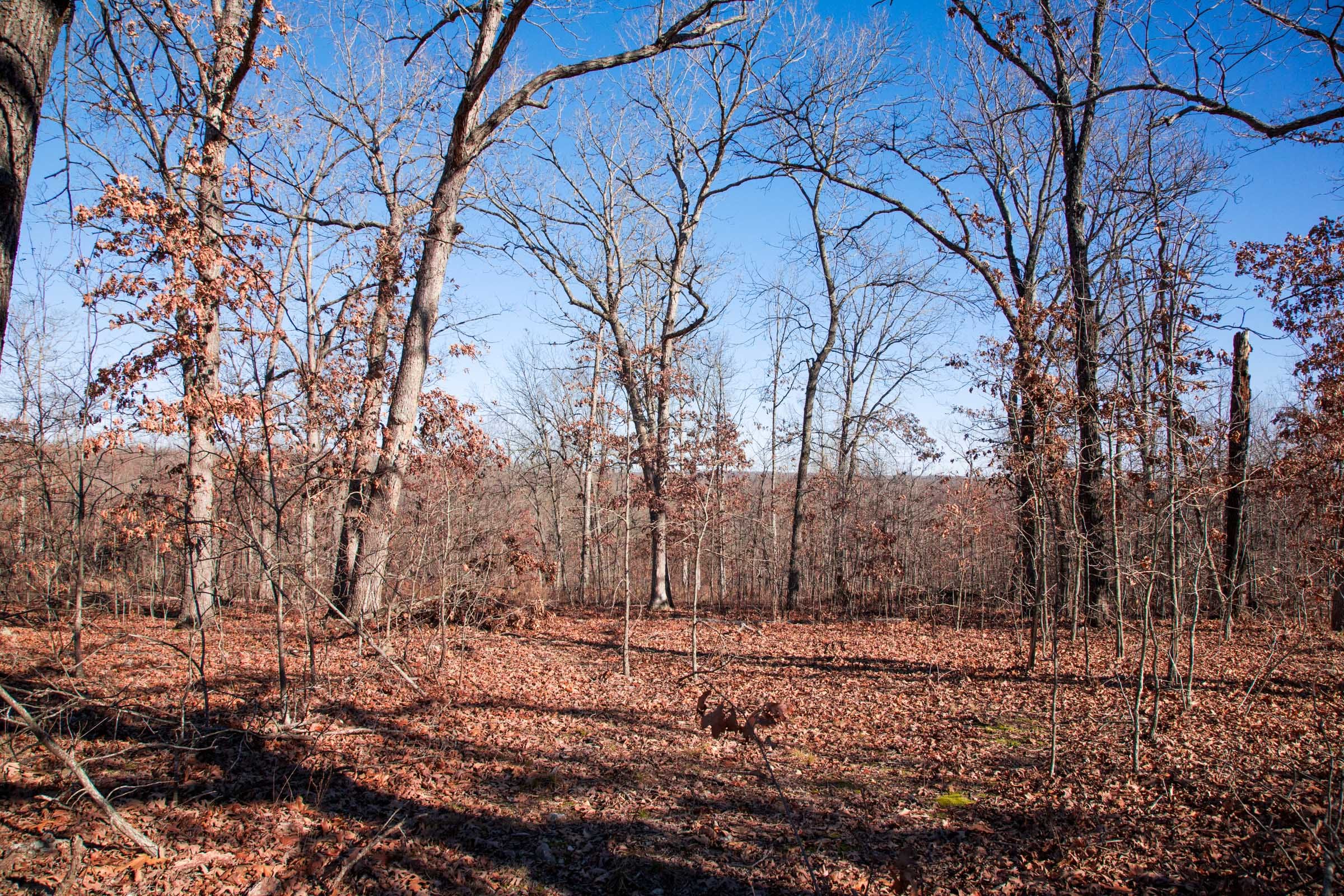 Buffalo Hills Tract 5 photo 4