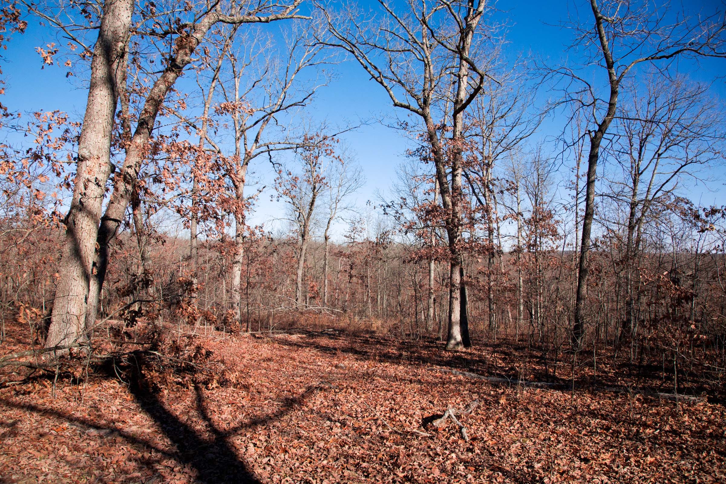 Buffalo Hills Tract 5 photo 5