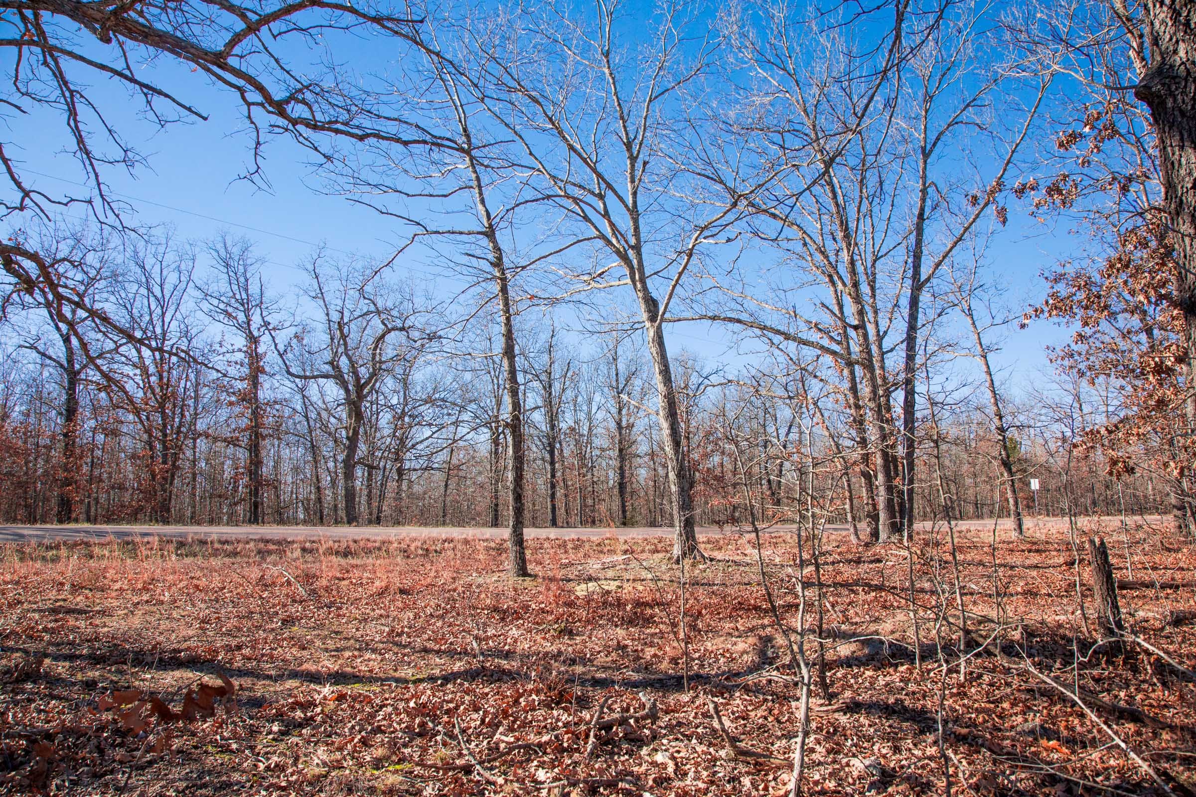 Buffalo Hills Tract 5 photo 6
