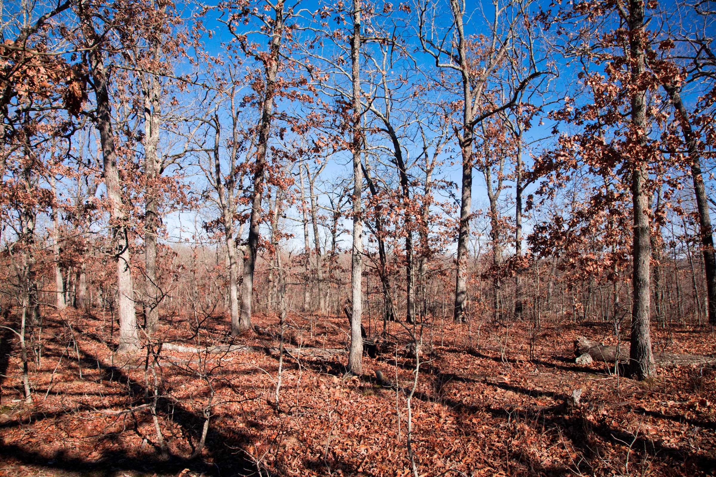 Buffalo Hills Tract 5 photo 8