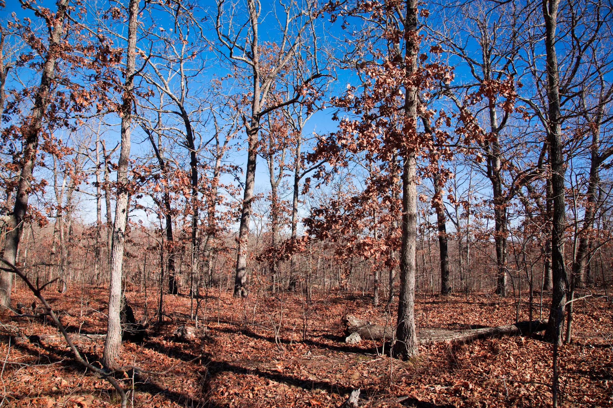 Buffalo Hills Tract 5 photo 9
