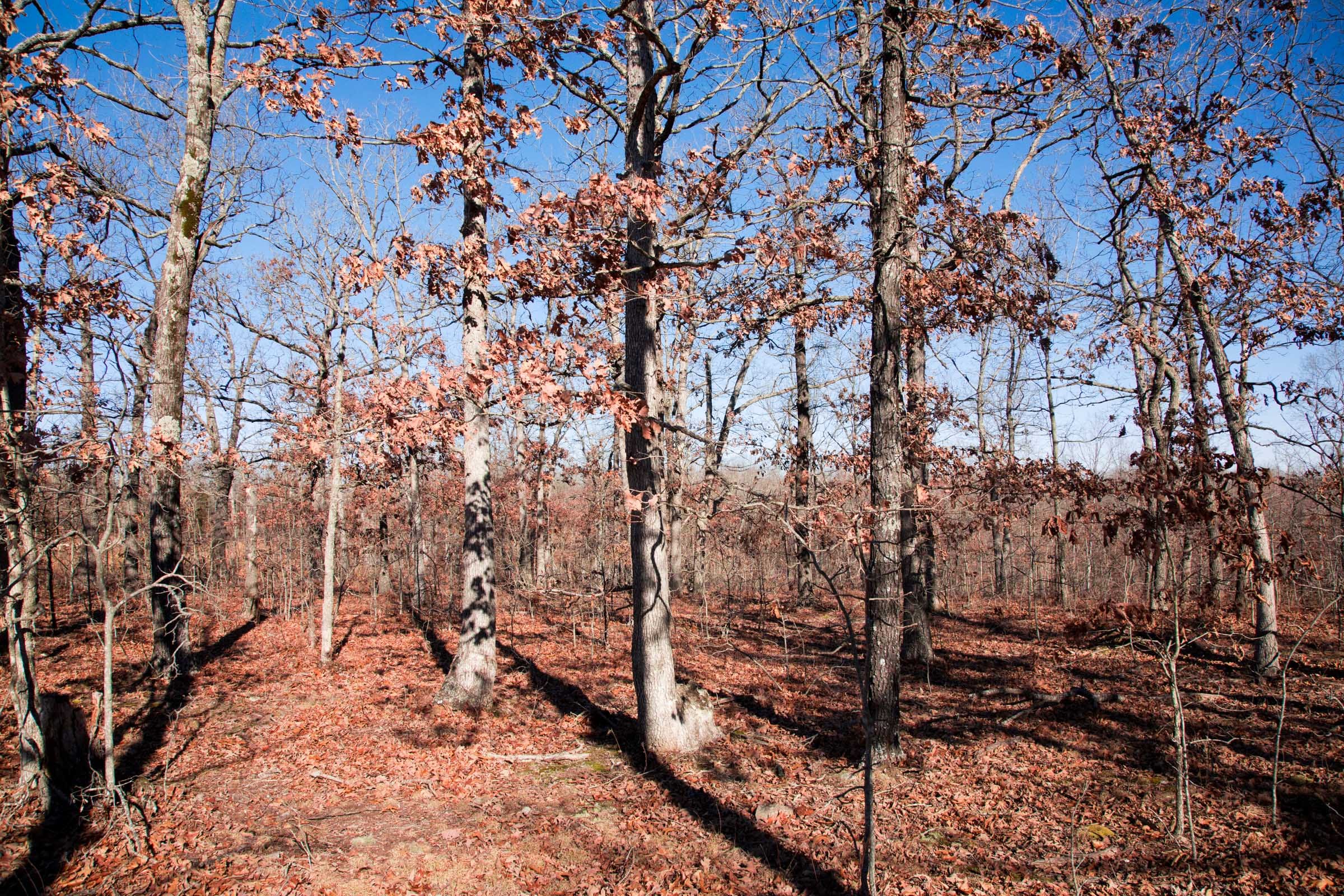 Buffalo Hills Tract 5 photo 10