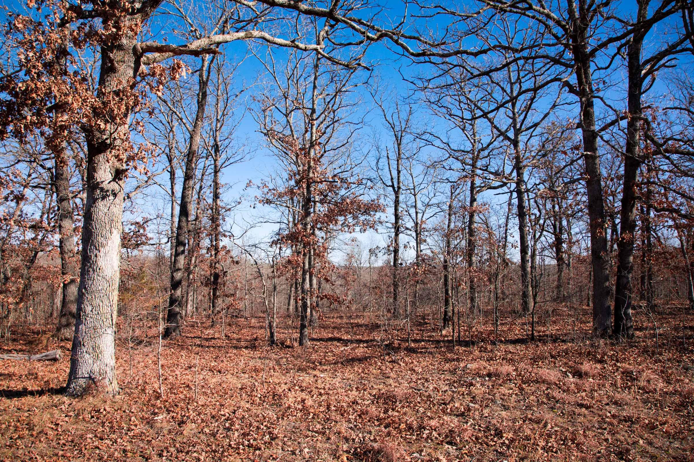 Buffalo Hills Tract 5 photo 12