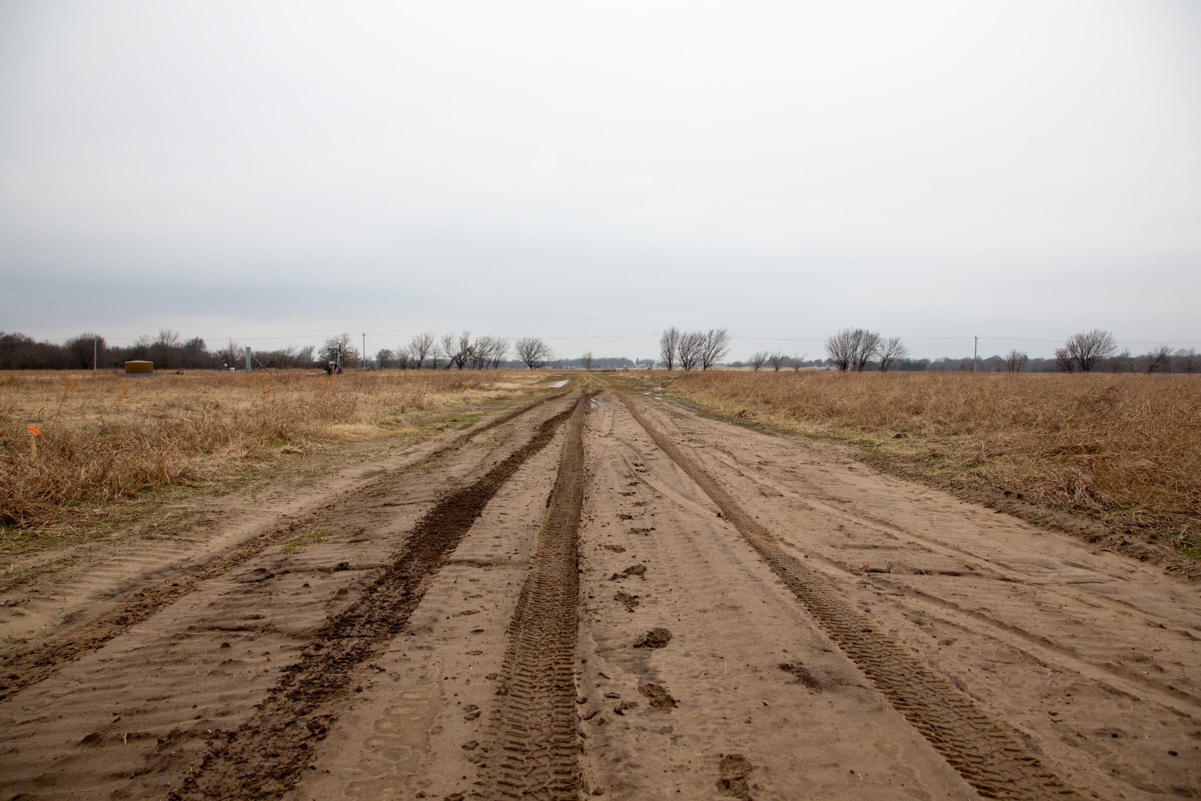 Canadian Plains Tract 22 photo 2