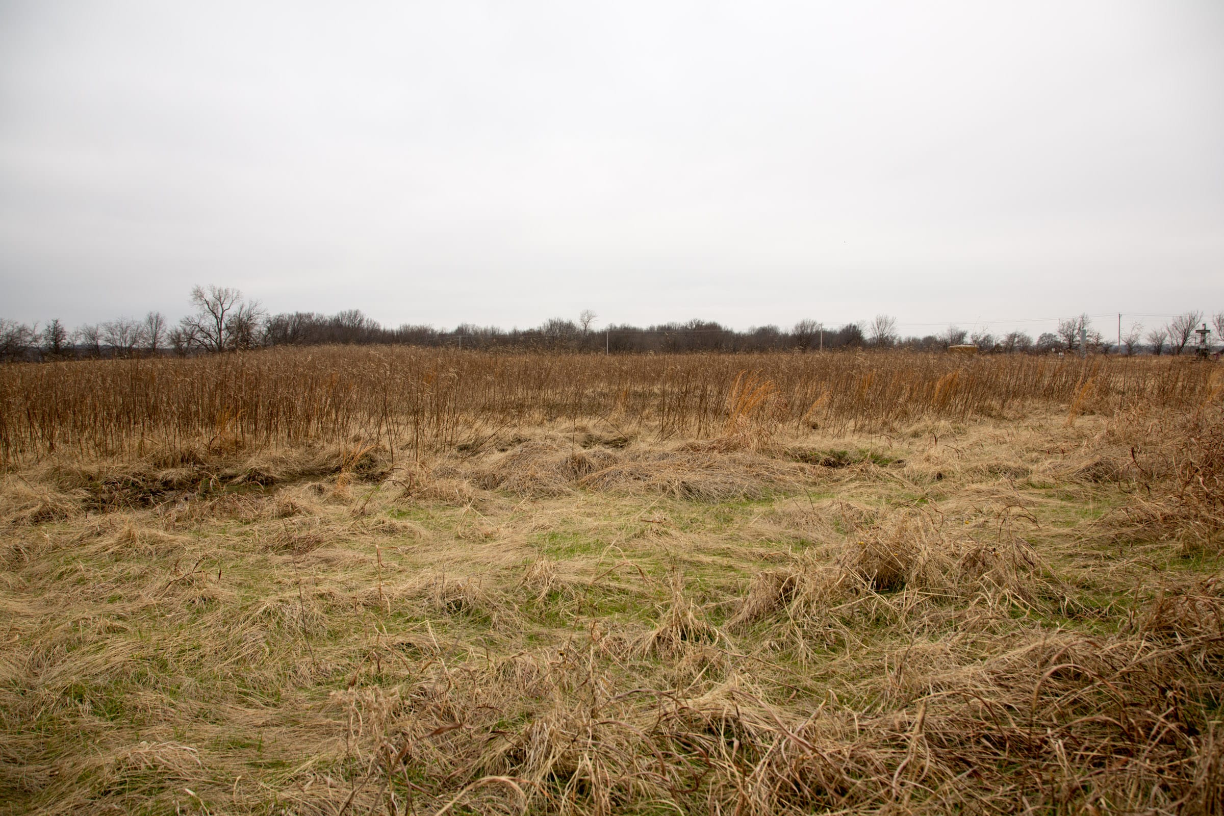 Canadian Plains Tract 22 photo 3