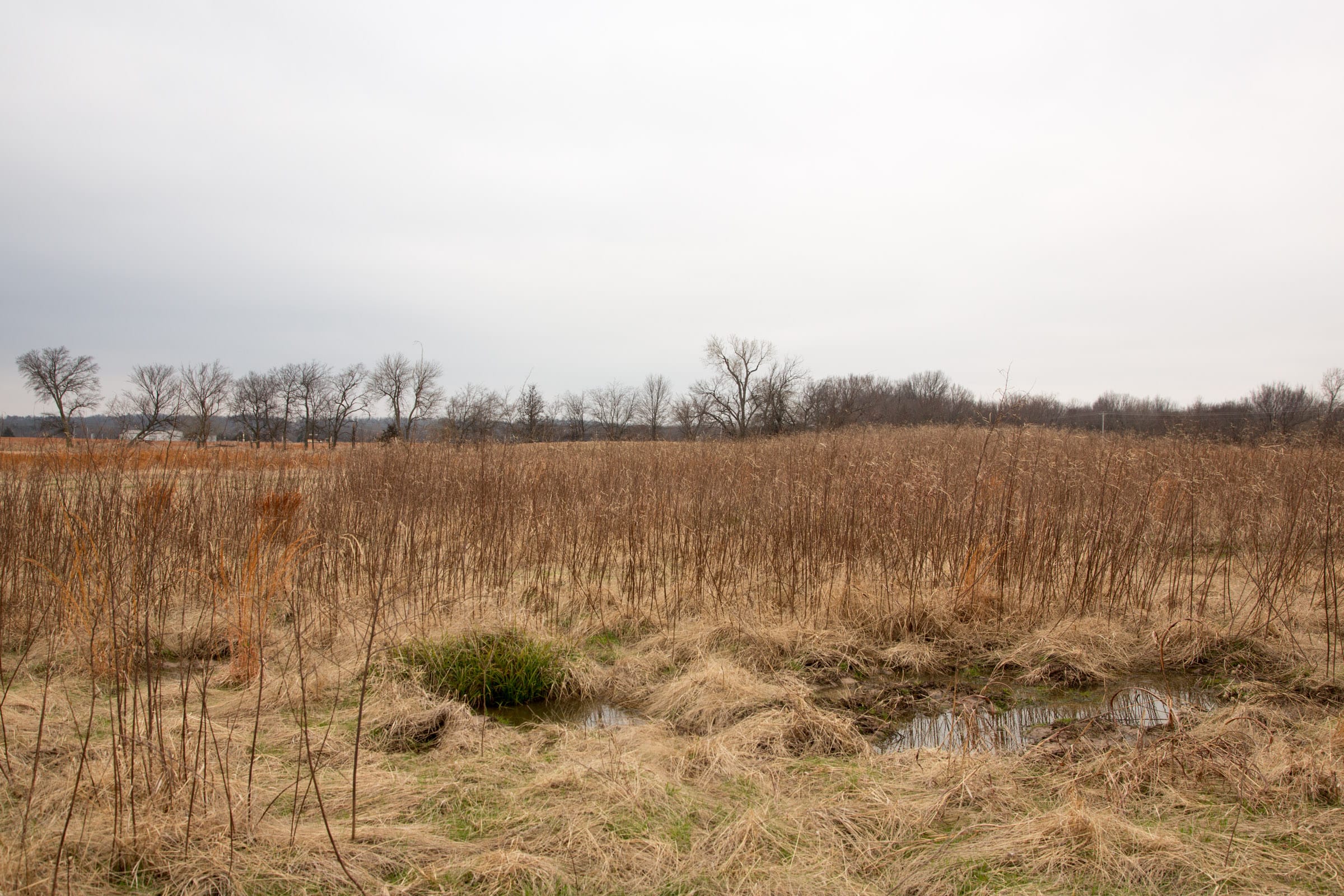 Canadian Plains Tract 22 photo 4