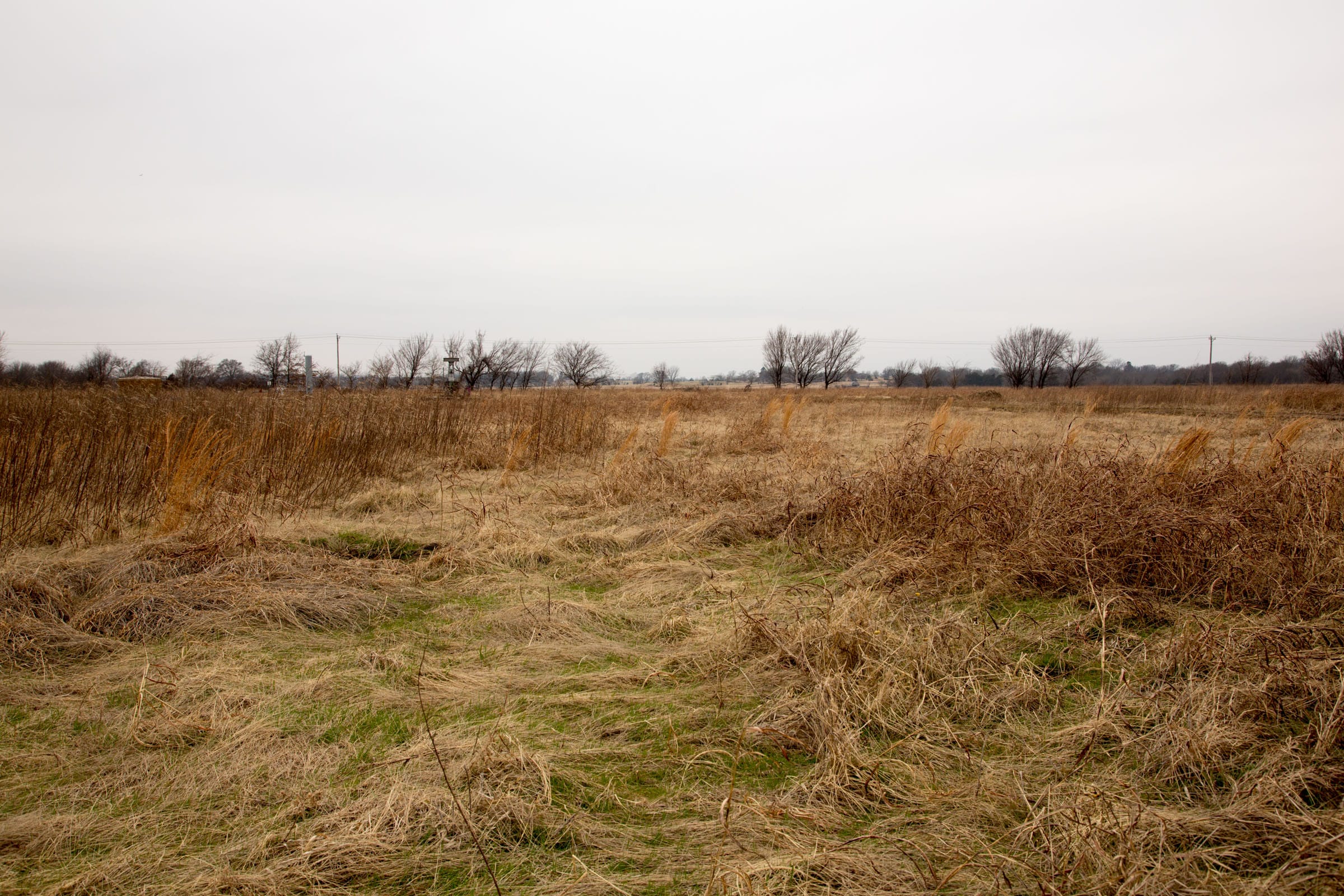 Canadian Plains Tract 22 photo 5